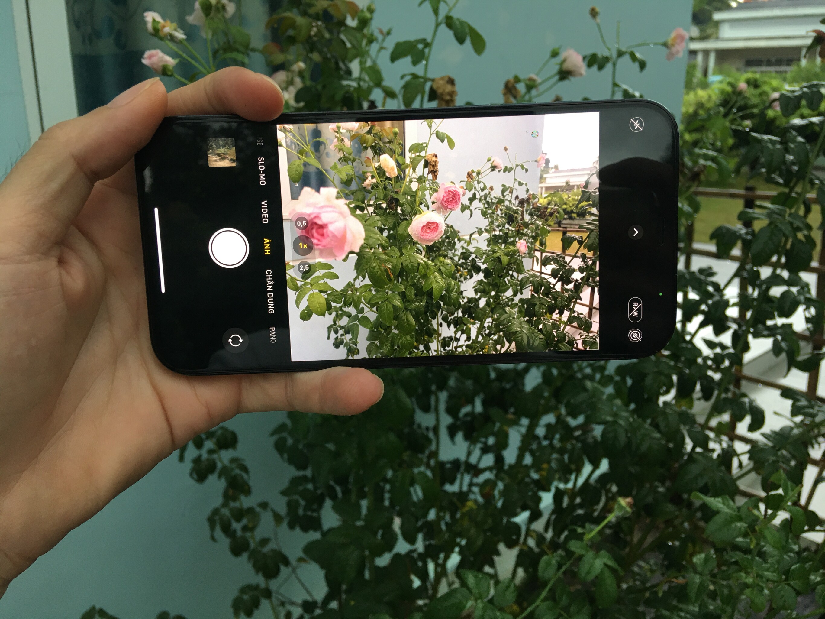 Apple iPhone 12 Pro Max 291.