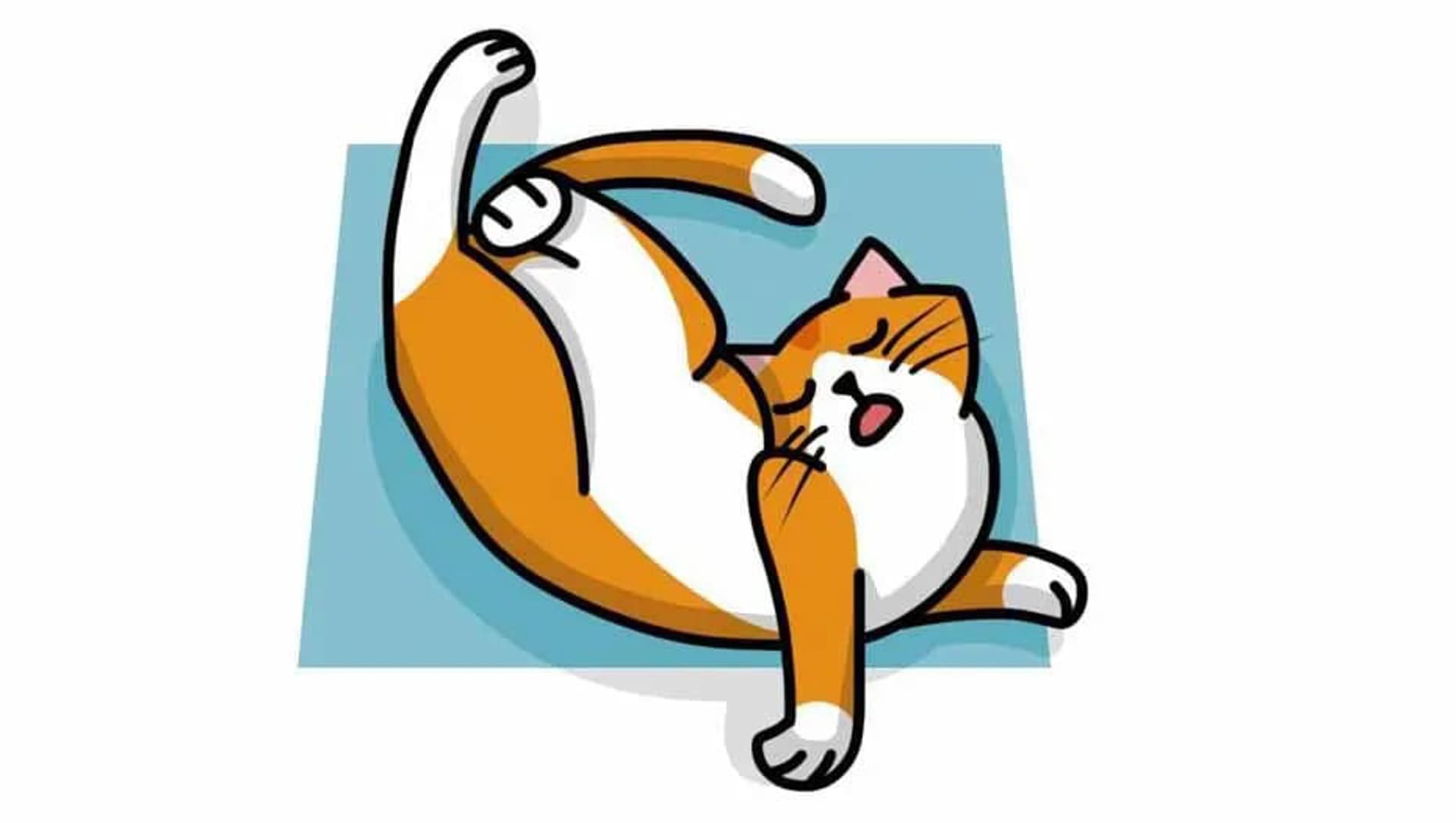 Cho mèo ăn trong nhà 645 – thu cung, cham soc cho meo, cham soc meo, cham soc cho, huan luyen cho meo, cham soc thu cung, cho meo khong an.