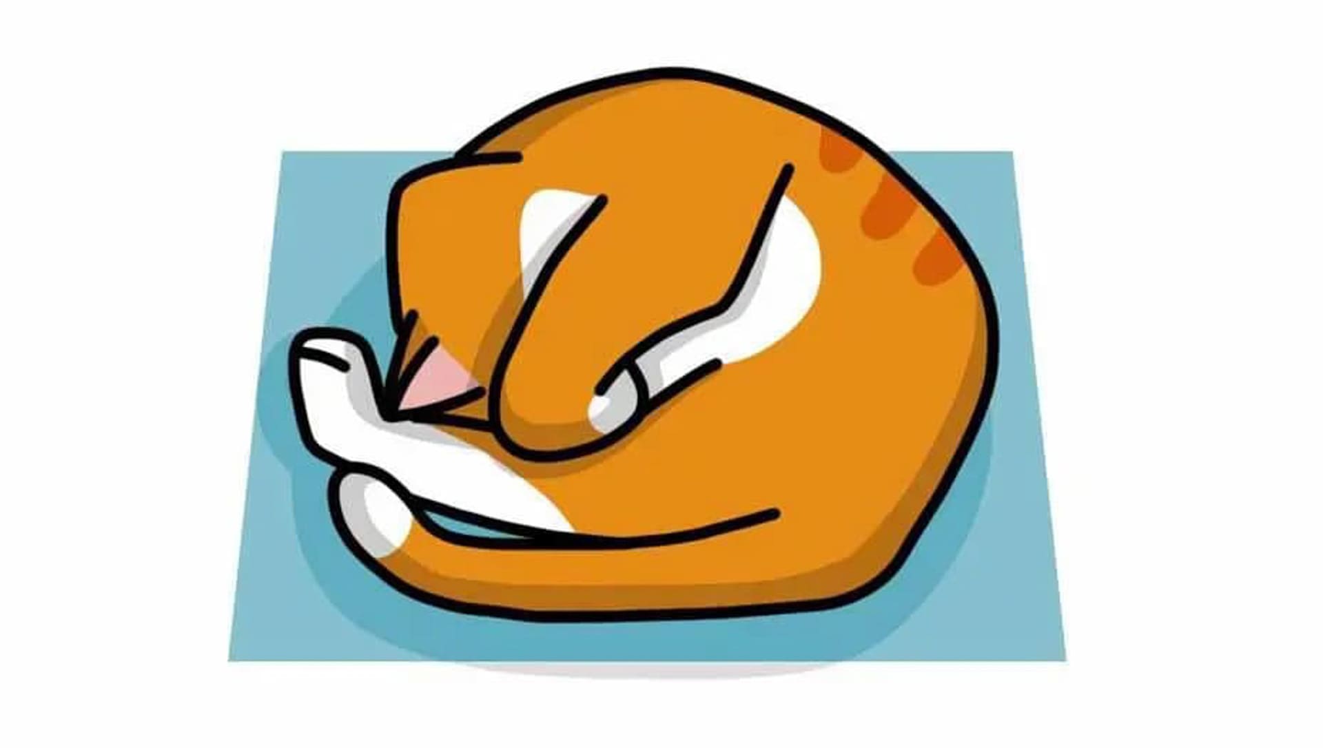 Cho mèo ăn trong nhà 119 – thu cung, cham soc cho meo, cham soc meo, cham soc cho, huan luyen cho meo, cham soc thu cung, cho meo khong an.