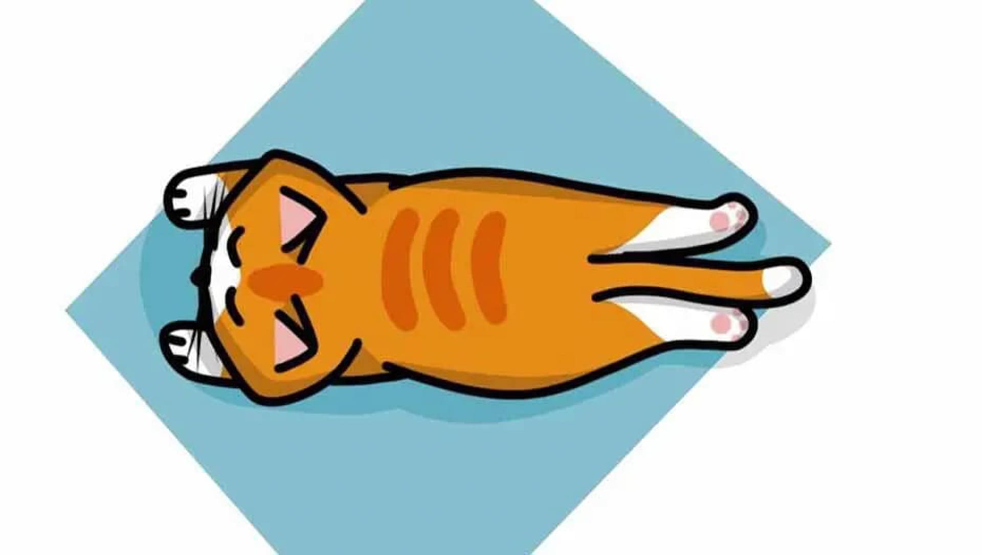 Cho mèo ăn trong nhà 254 – thu cung, cham soc cho meo, cham soc meo, cham soc cho, huan luyen cho meo, cham soc thu cung, cho meo khong an.