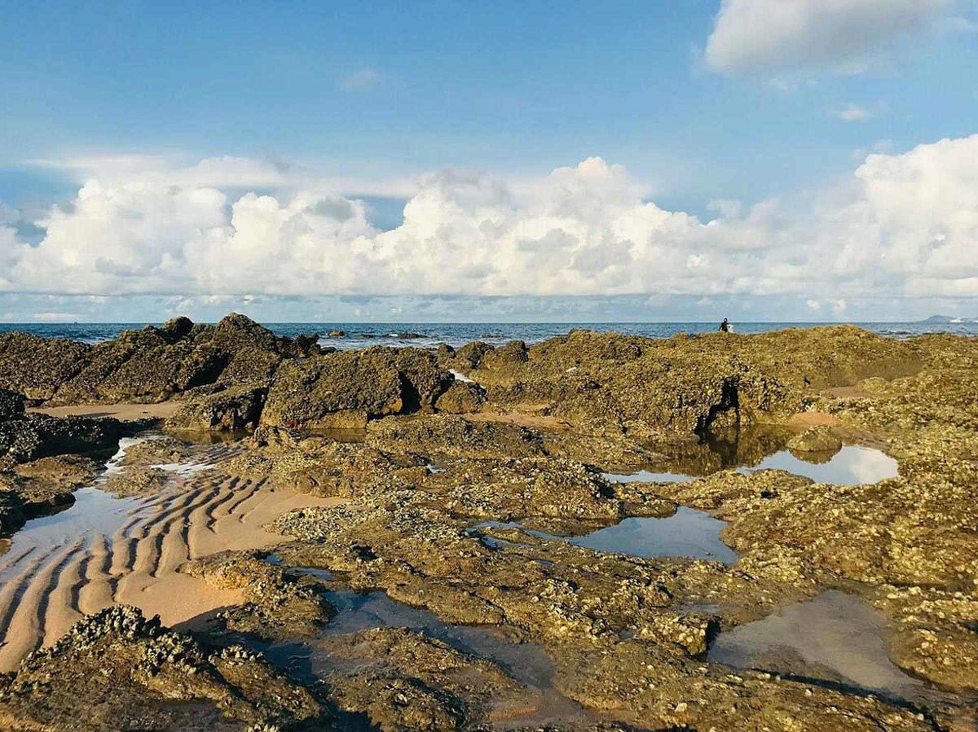 Cẩm nang du lịch Vũng Tàu 394 – cam nang du lich, du lich mien nam, du lich ba ria vung tau.