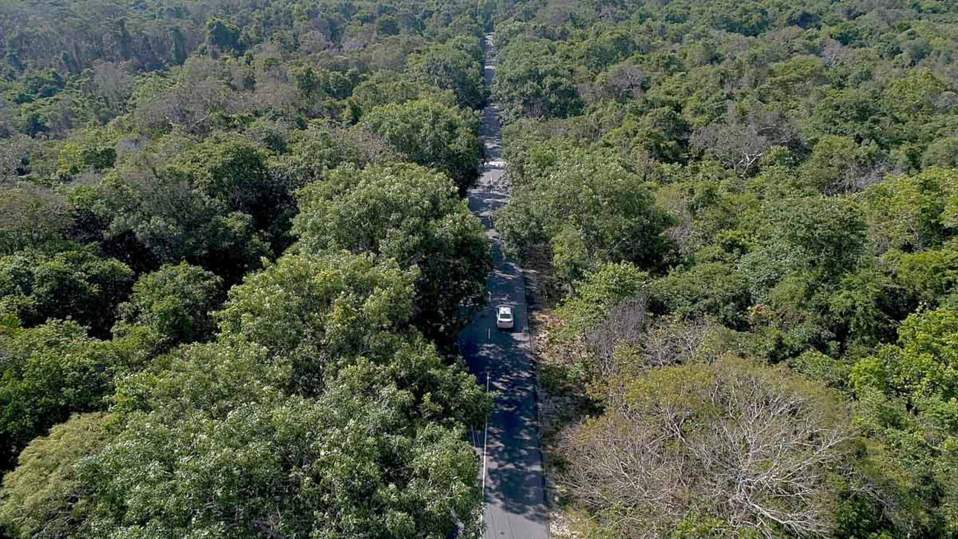 Cẩm nang du lịch Vũng Tàu 761 – cam nang du lich, du lich mien nam, du lich ba ria vung tau.