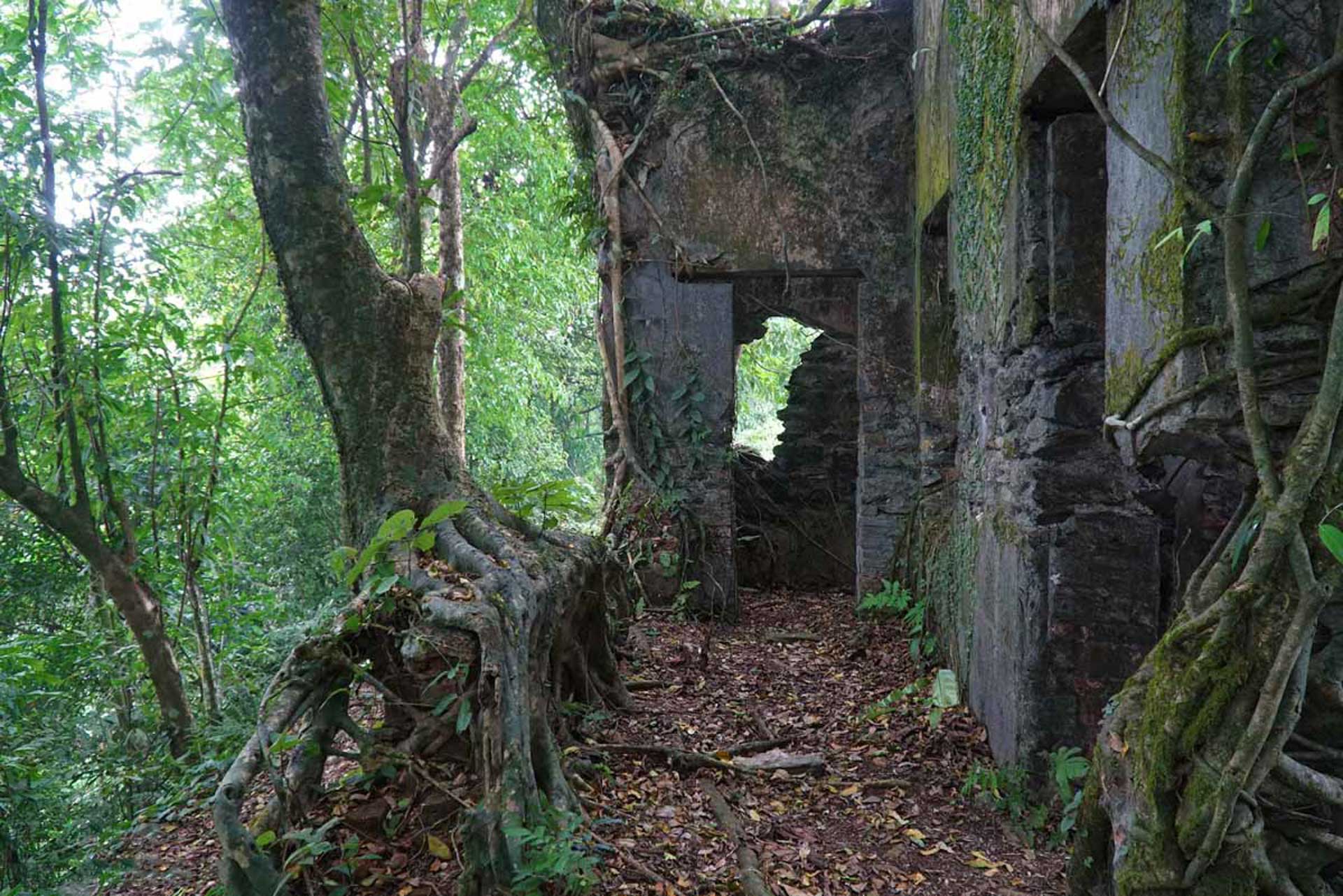 Cẩm nang du lịch Ba Vì 313 – cam nang du lich, du lich mien bac, du lich ba vi.