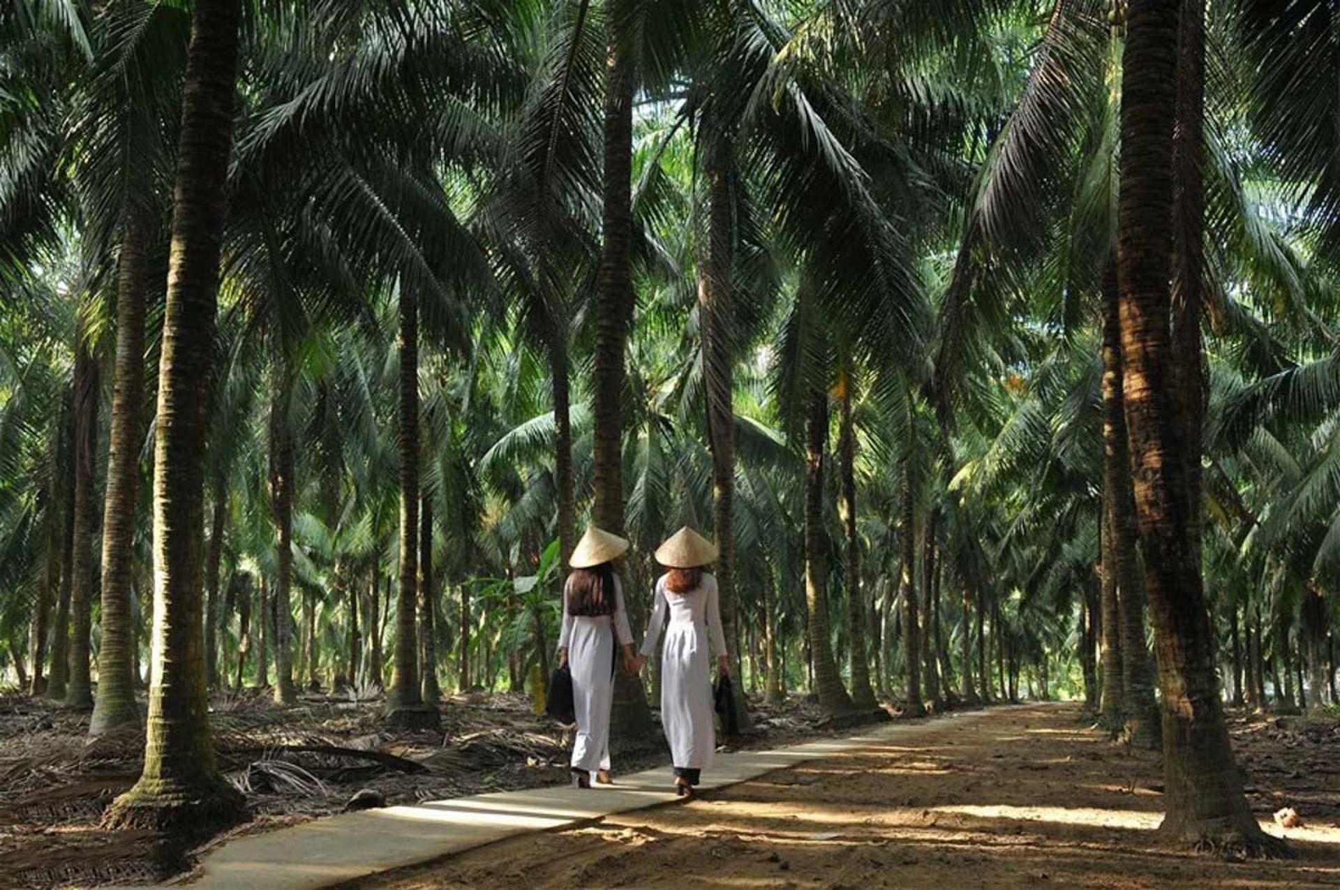 Cẩm nang du lịch Bến Tre 071 – cam nang du lich, du lich mien nam, du lich ben tre.