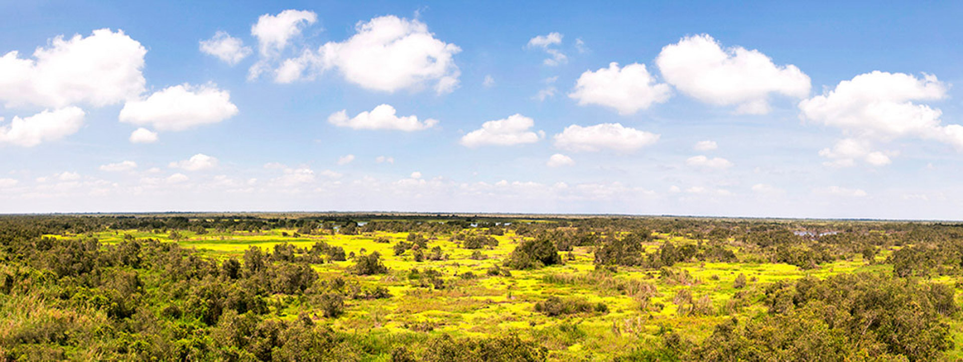 Cẩm nang du lịch Cà Mau 980 – cam nang du lich, du lich mien nam, du lich ca mau.
