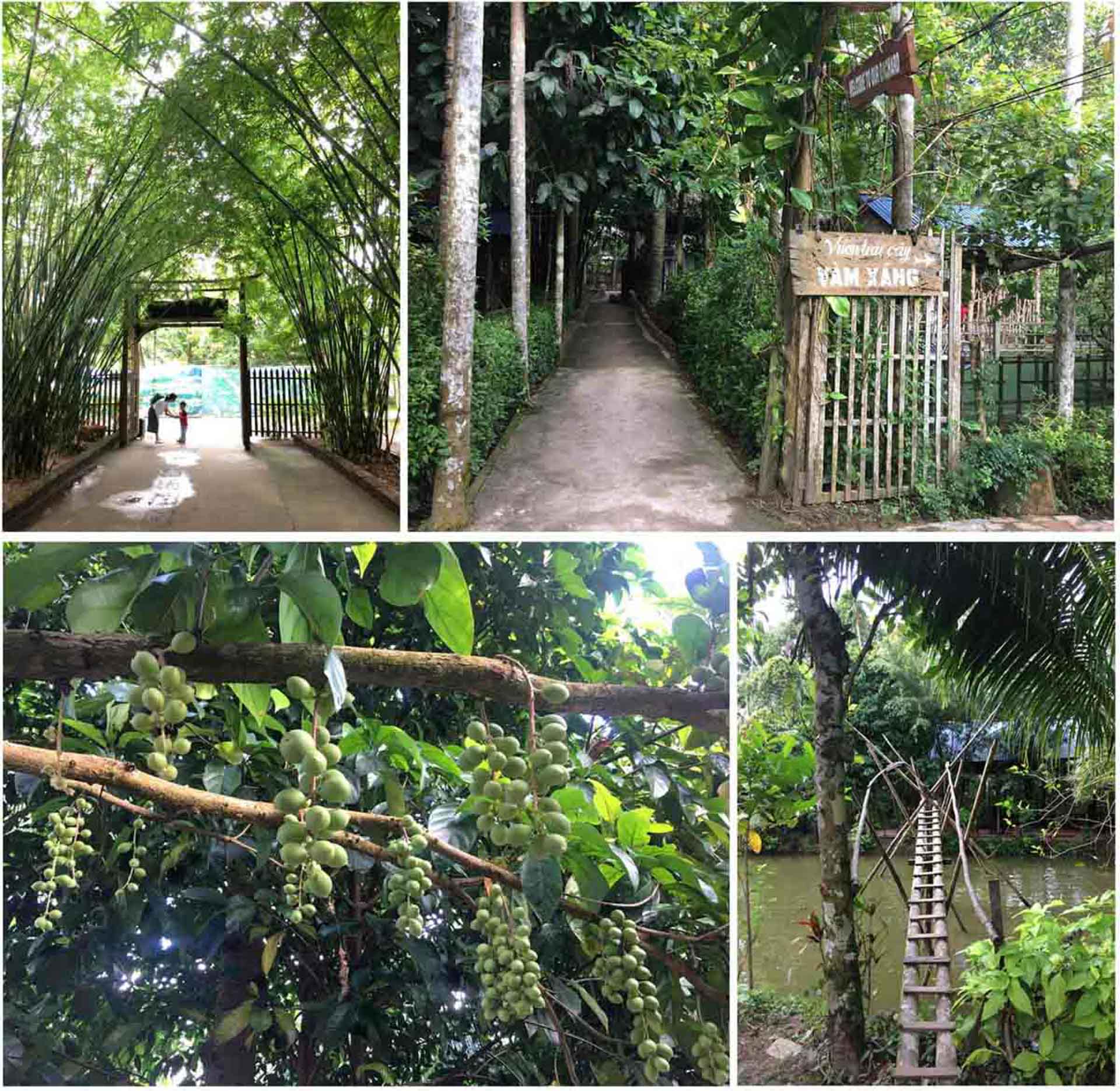 Cẩm nang du lịch Cần Thơ 012 – cam nang du lich, du lich mien nam, du lich can tho.