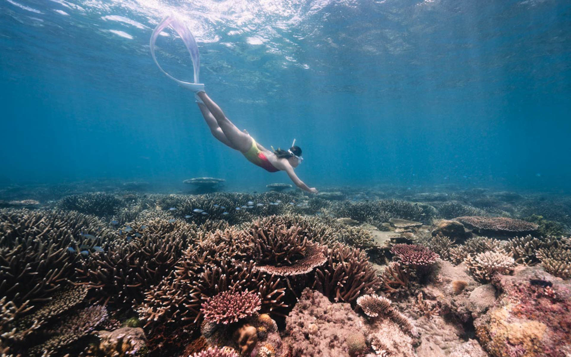 Cẩm nang du lịch Côn Đảo 936 – cam nang du lich, du lich mien nam, du lich con dao.