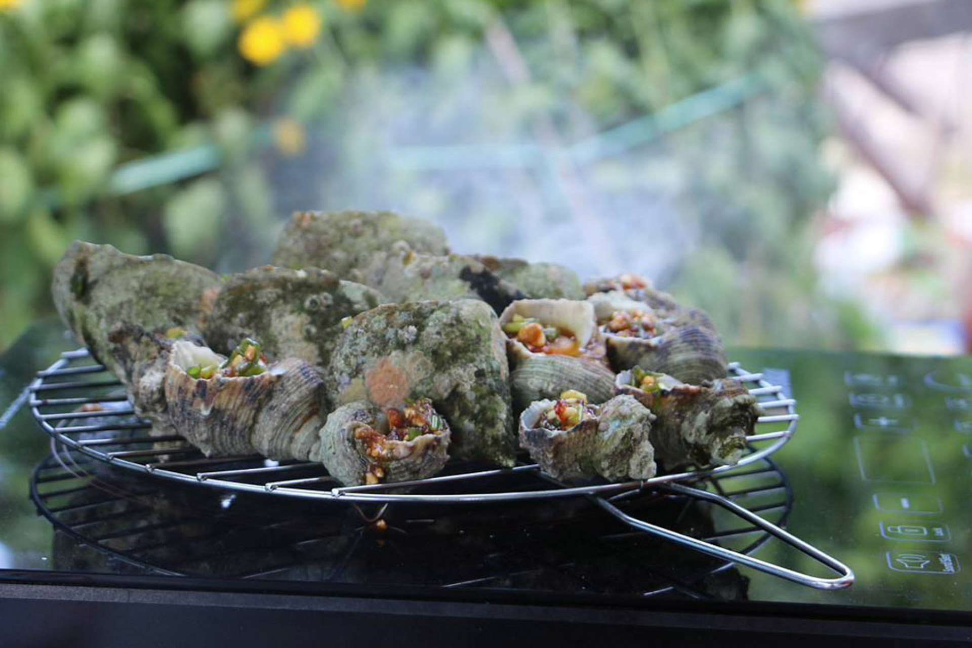 Cẩm nang du lịch Cù Lao Xanh 498 – cam nang du lich, du lich mien trung, du lich cu lao xanh.