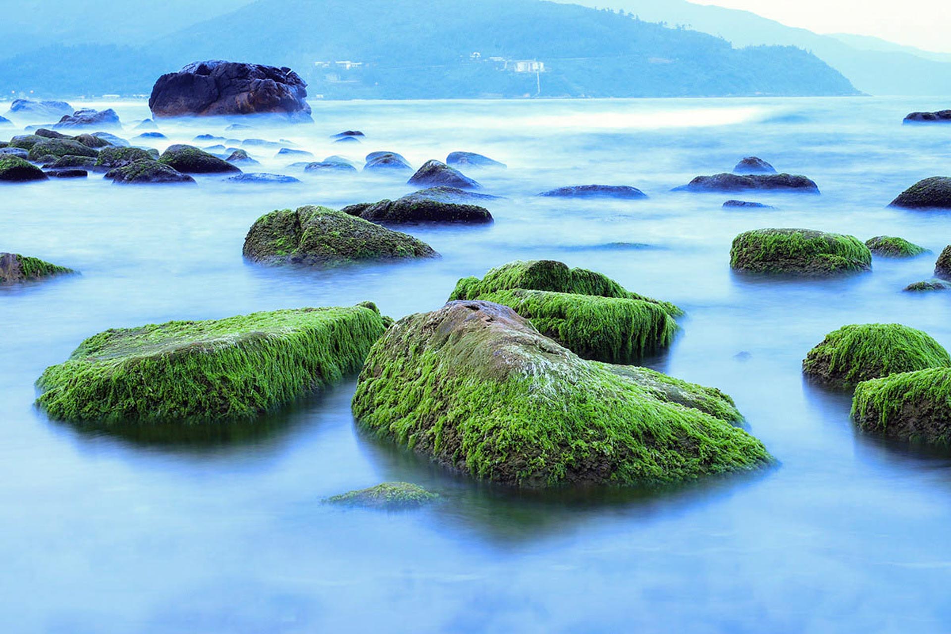 Cẩm nang du lịch Đà Nẵng 241 – cam nang du lich, du lich mien trung, du lich da nang.