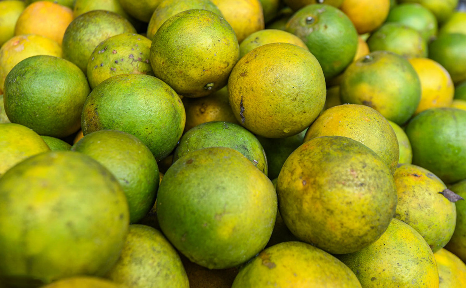 Cẩm nang du lịch Hà Giang 898 – cam nang du lich, du lich mien bac, du lich ha giang.