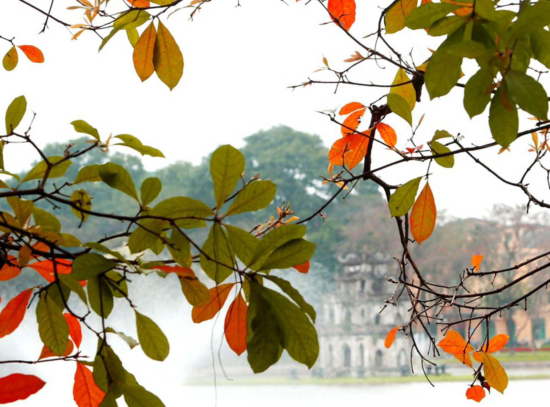 Cẩm nang du lịch Hà Nội 905 – cam nang du lich, du lich mien bac, du lich ha noi.