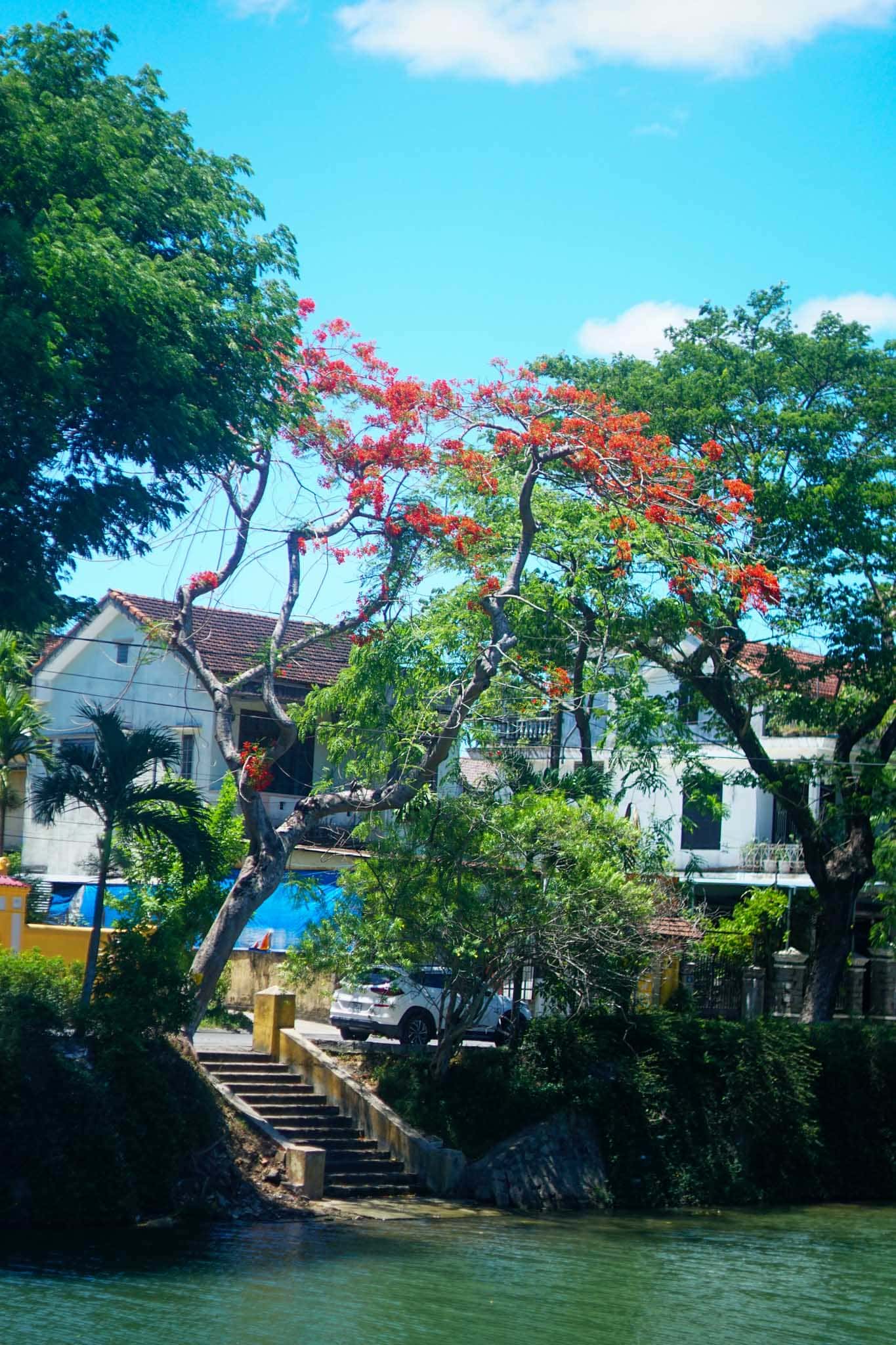 nhavantuonglai cam-nang-du-lich-hue-cua-nguoi-ban-dia