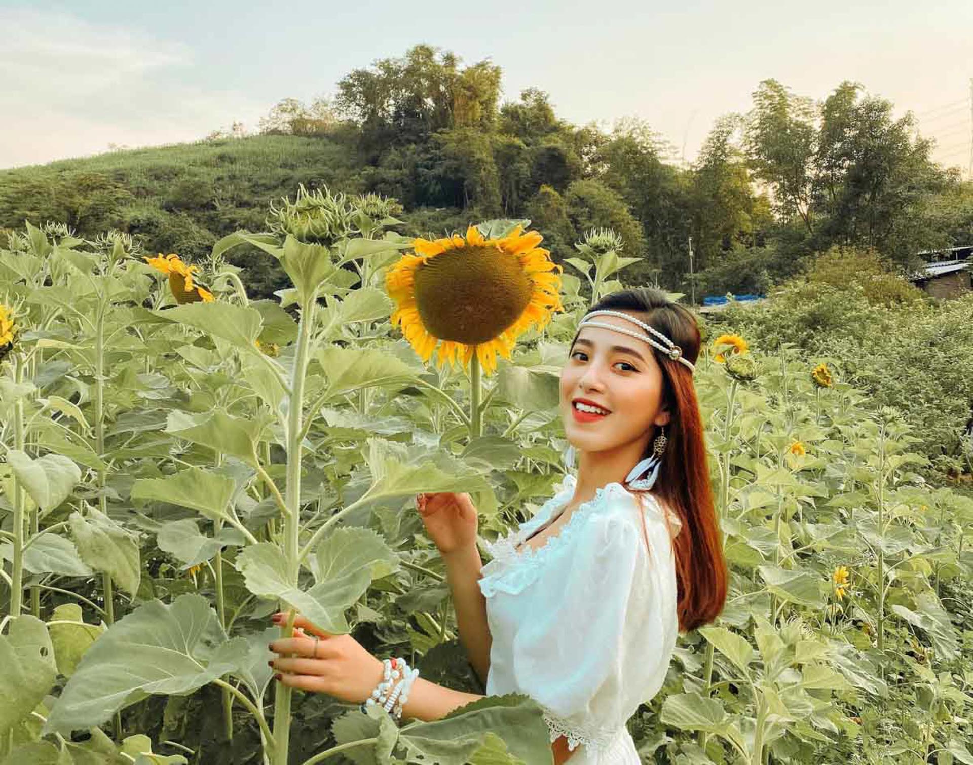 Cẩm nang du lịch Mộc Châu 479 – cam nang du lich, du lich mien bac, du lich moc chau.