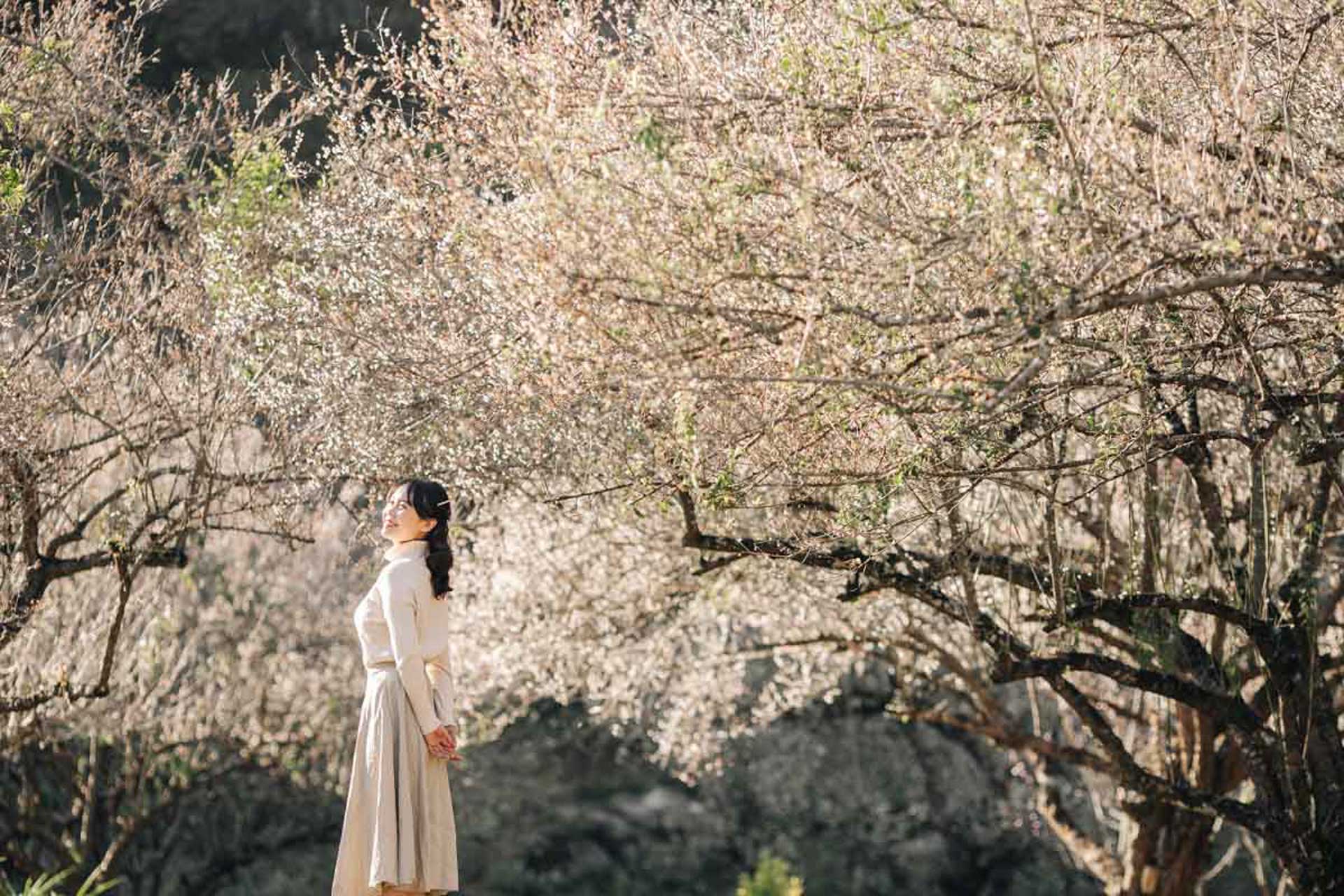 Cẩm nang du lịch Mộc Châu 797 – cam nang du lich, du lich mien bac, du lich moc chau.