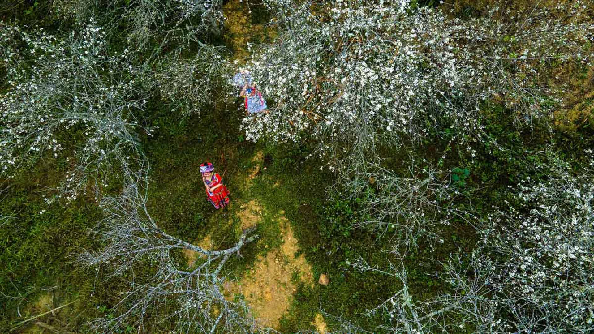 Cẩm nang du lịch Nghệ An 492 – cam nang du lich, du lich mien trung, du lich nghe an.