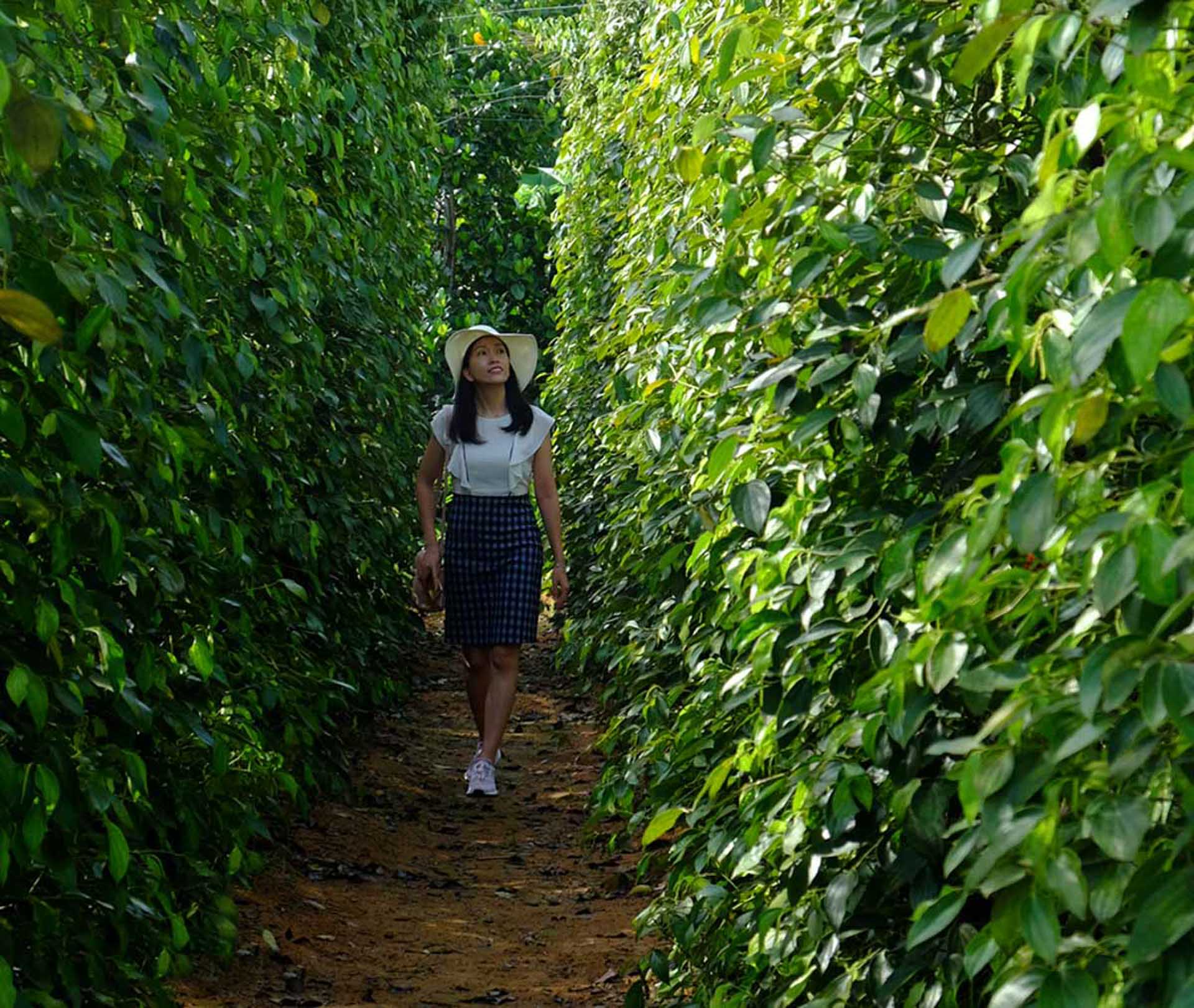 Cẩm nang du lịch Phú Quốc 659 – cam nang du lich, du lich mien nam, du lich phu quoc.