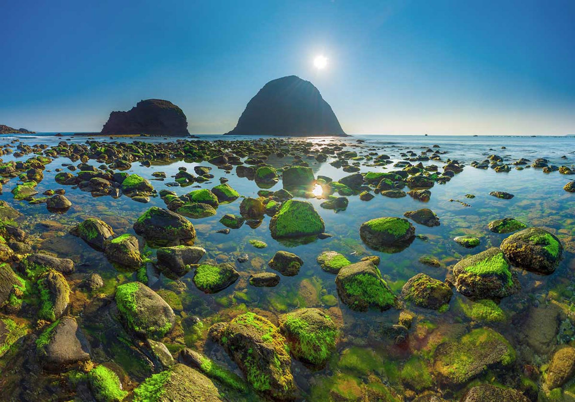 Cẩm nang du lịch Phú Yên 392 – cam nang du lich, du lich mien trung, du lich phu yen.