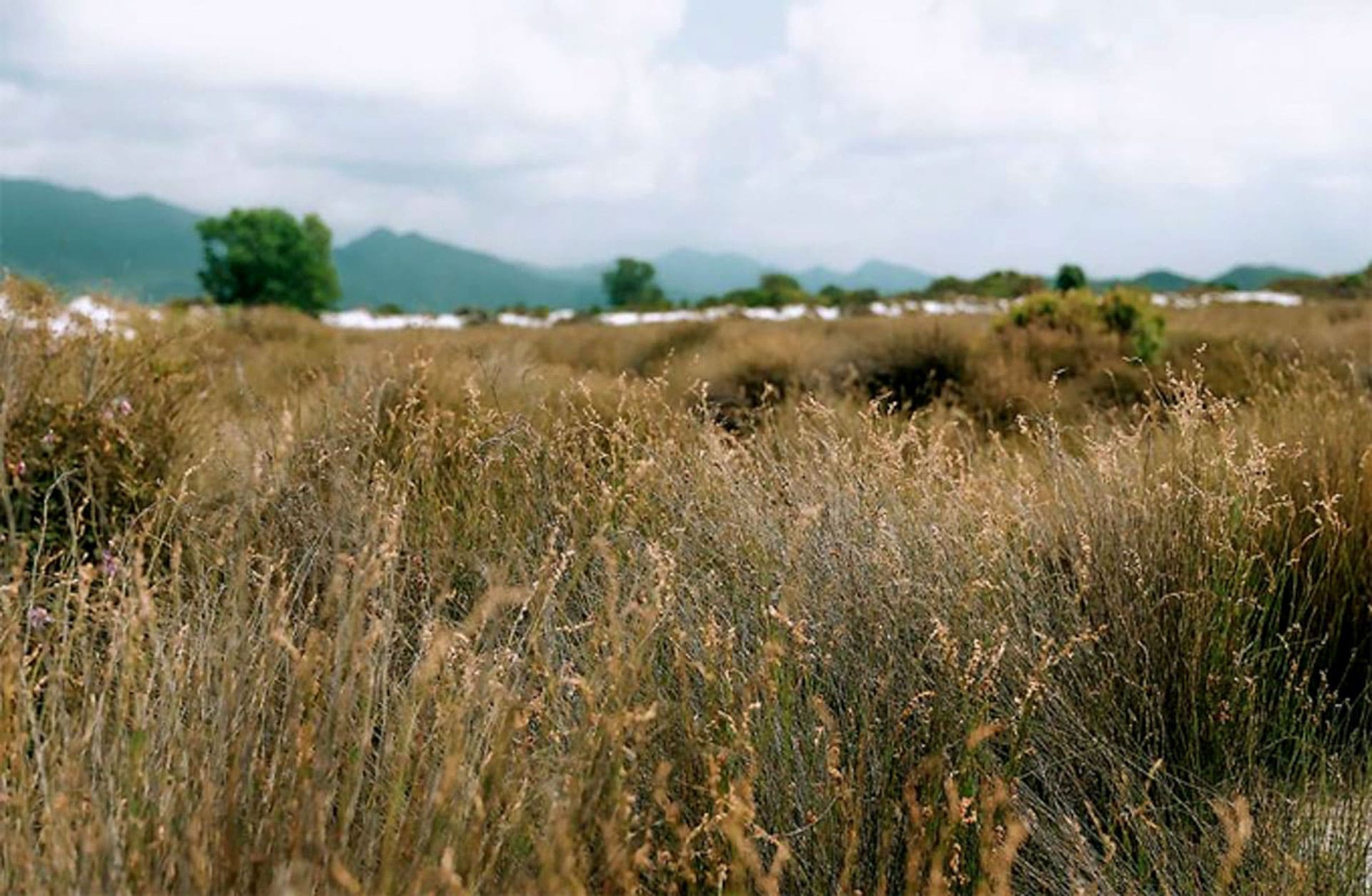 Cẩm nang du lịch Quan Nại 029 – cam nang du lich, du lich mien bac, du lich quan nai.