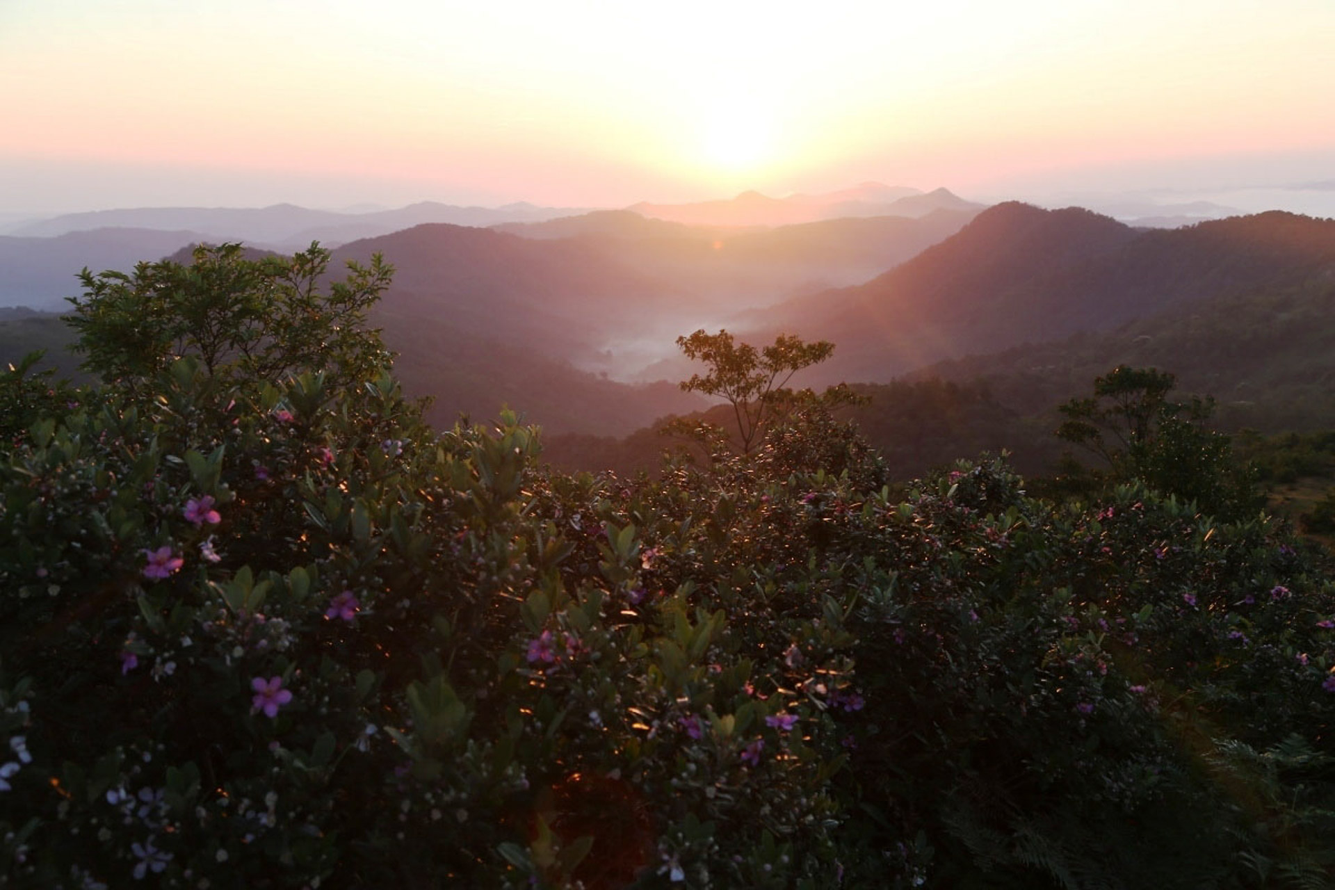 Cẩm nang du lịch Quảng Ngãi 045 – cam nang du lich, du lich mien trung, du lich quang ngai.