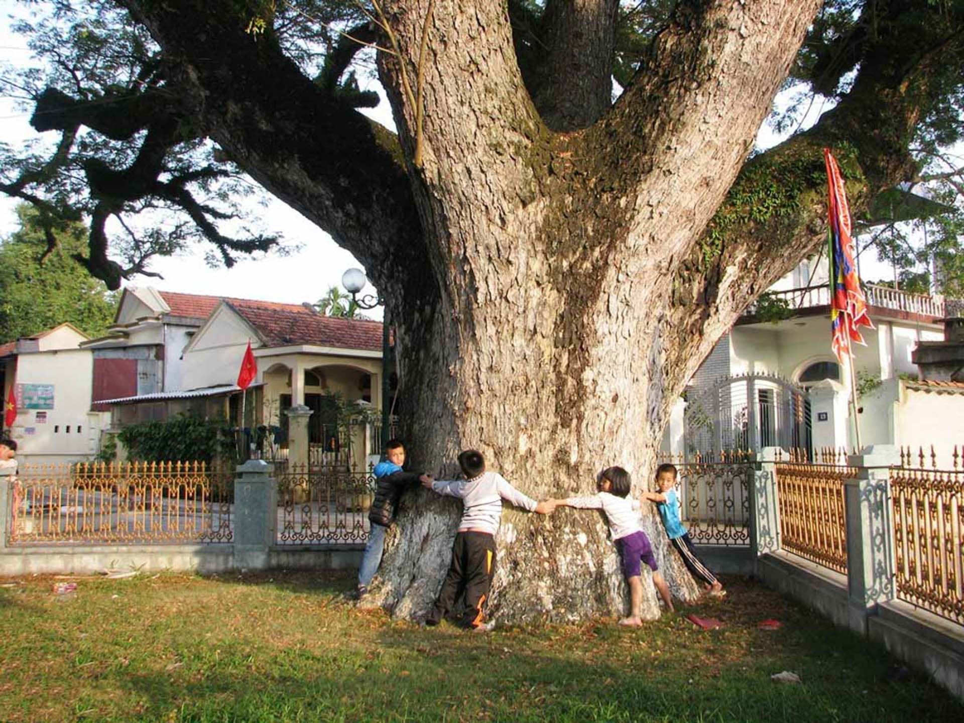 Cẩm nang du lịch Quảng Ninh 095 – cam nang du lich, du lich mien bac, du lich quang ninh.