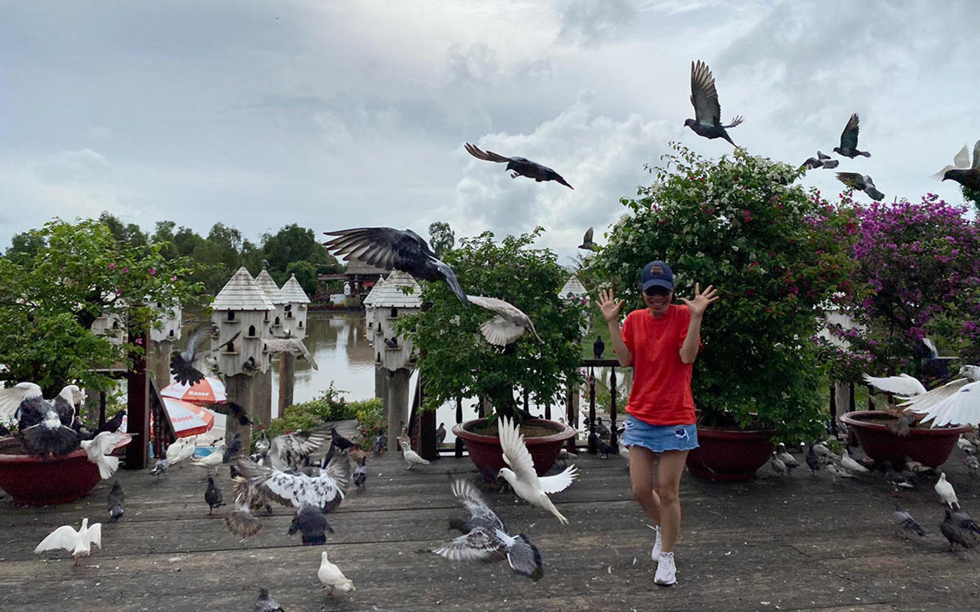 Cẩm nang du lịch Trà Sư 756 – cam nang du lich, du lich mien nam, du lich rung tram tra su.