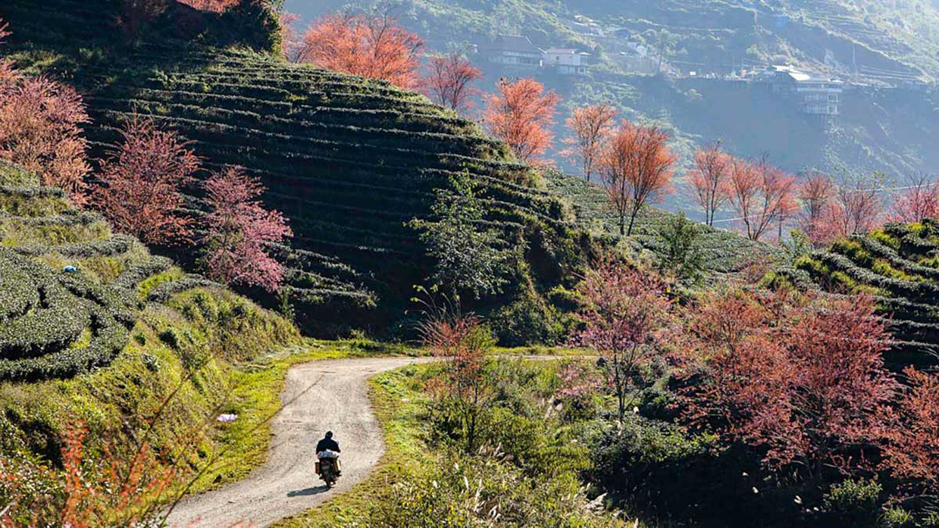 Cẩm nang du lịch Sa Pa 845 – cam nang du lich, du lich mien bac, du lich sa pa.