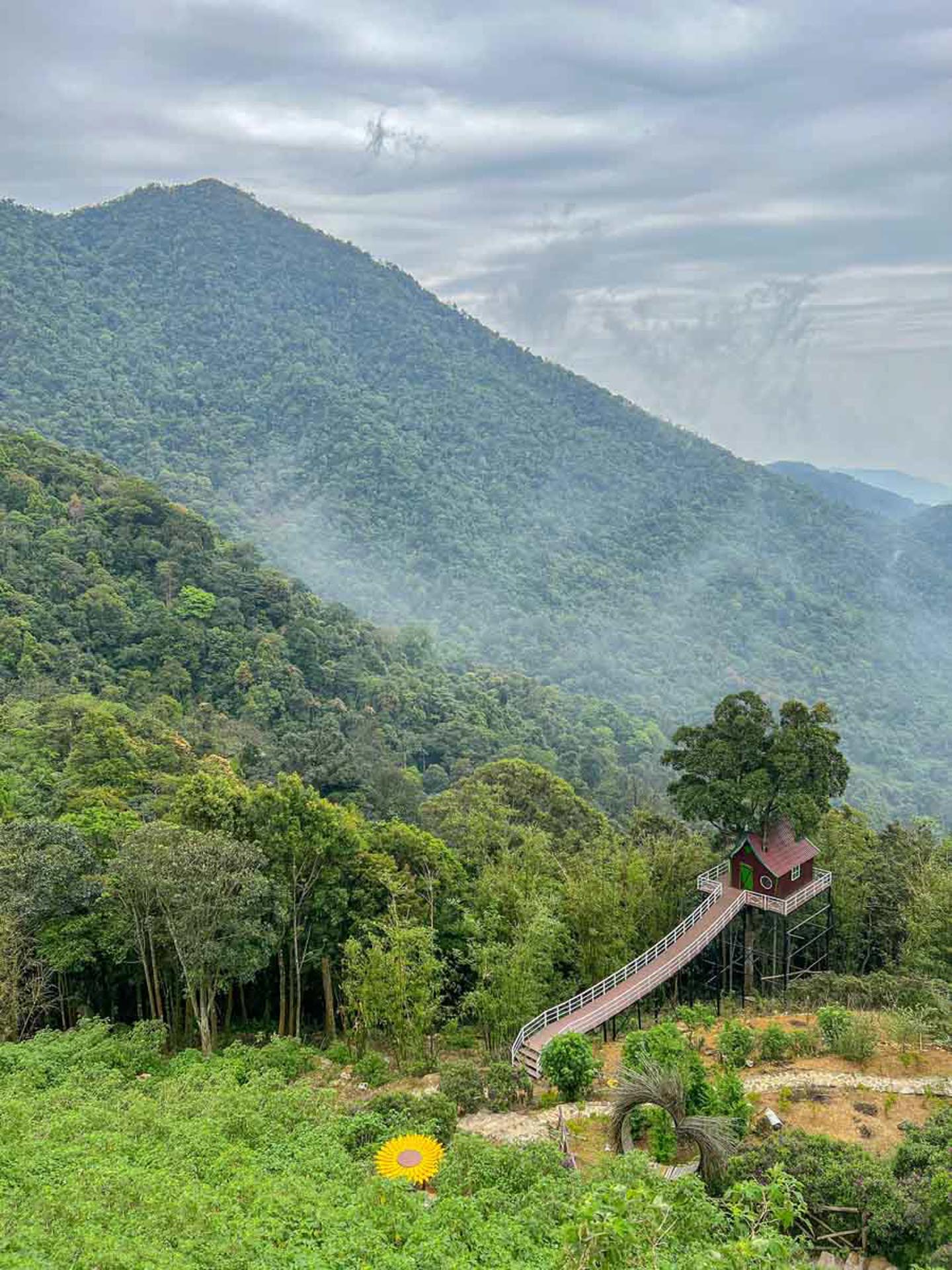 Cẩm nang du lịch Tam Đảo 668 – cam nang du lich, du lich mien bac, du lich tam dao.