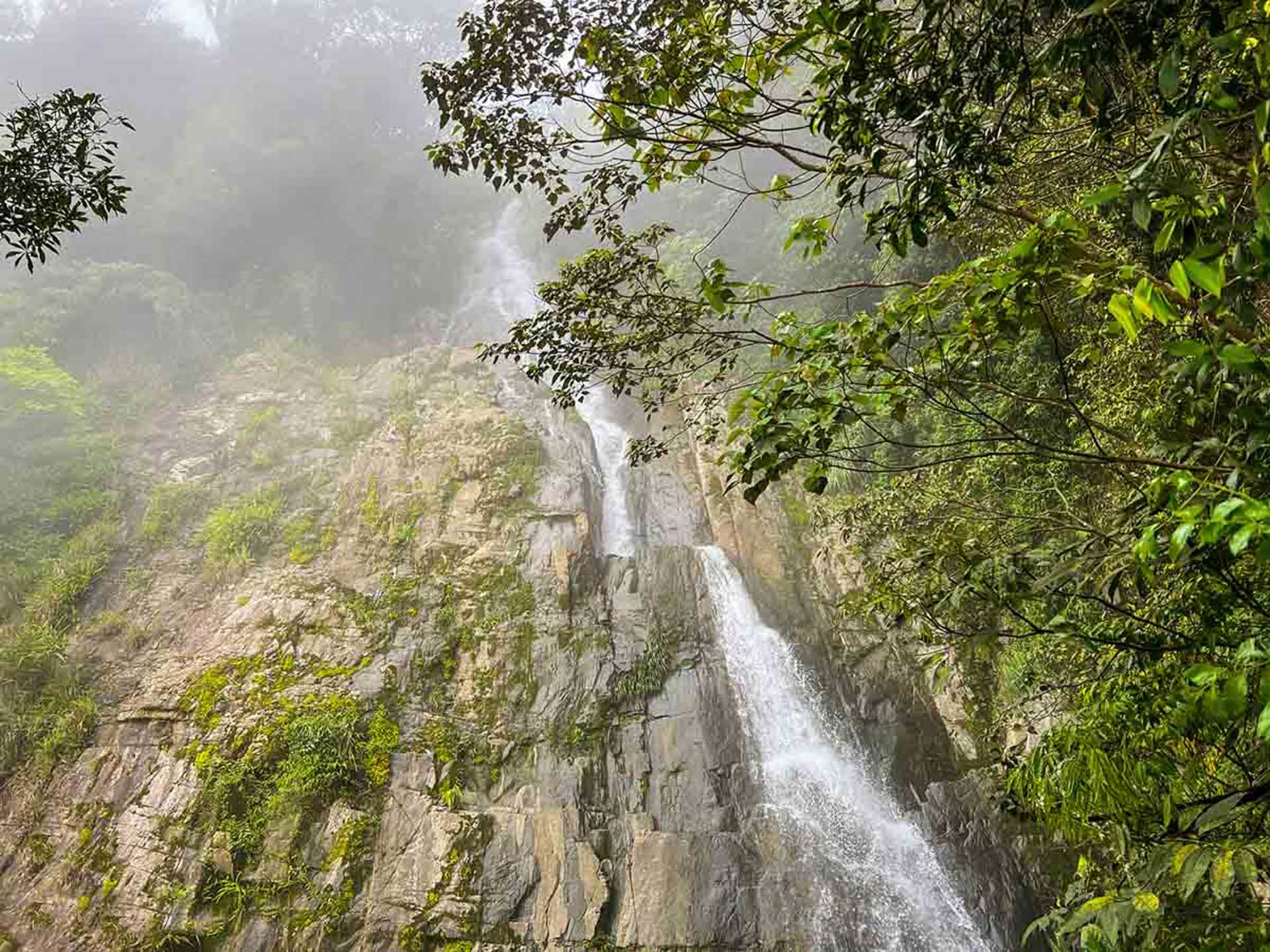 Cẩm nang du lịch Tam Đảo 239 – cam nang du lich, du lich mien bac, du lich tam dao.