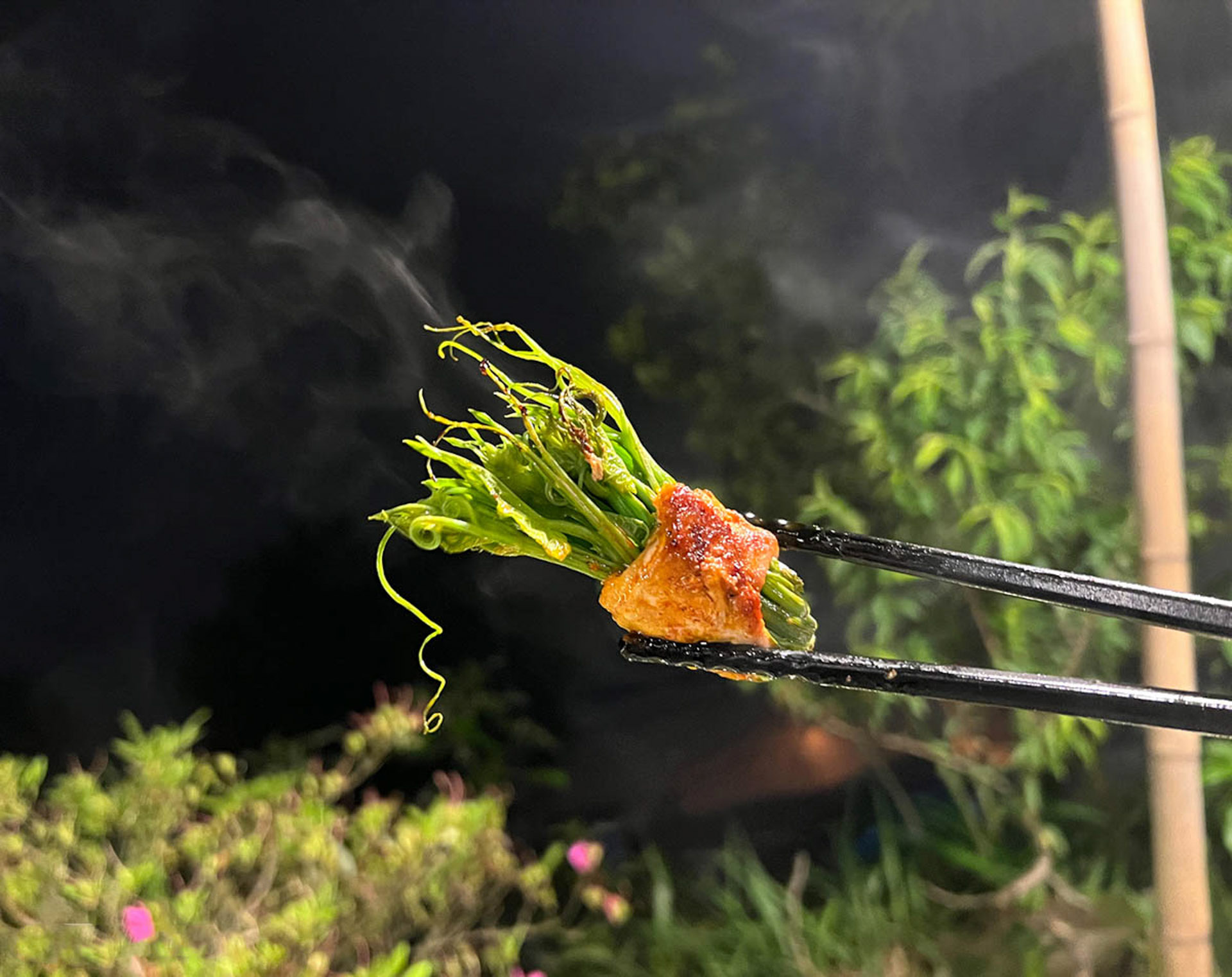 Cẩm nang du lịch Tam Đảo 673 – cam nang du lich, du lich mien bac, du lich tam dao.