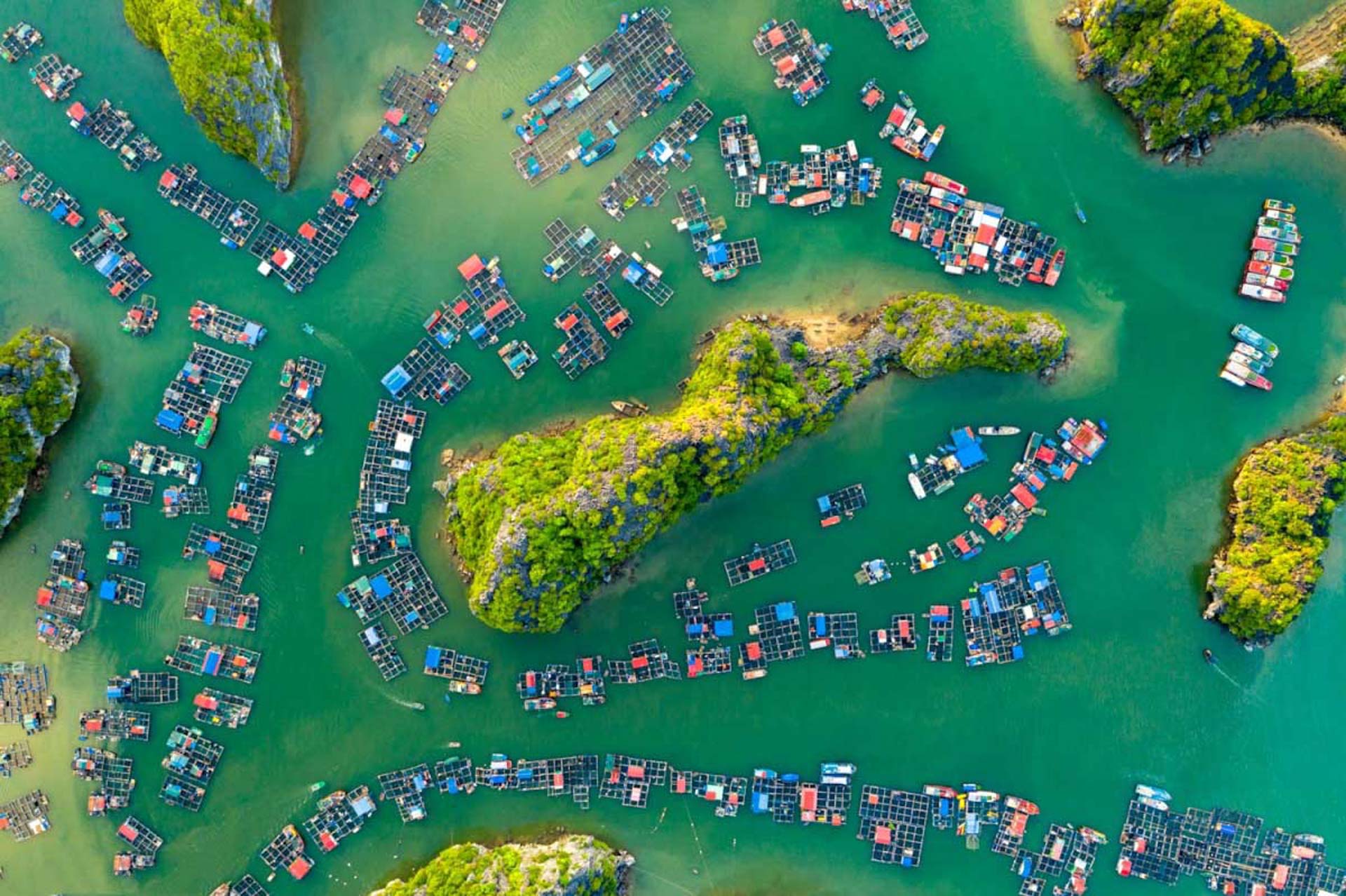 Cẩm nang du lịch Vịnh Lan Hạ 550 – cam nang du lich, du lich mien bac, du lich vinh lan ha.