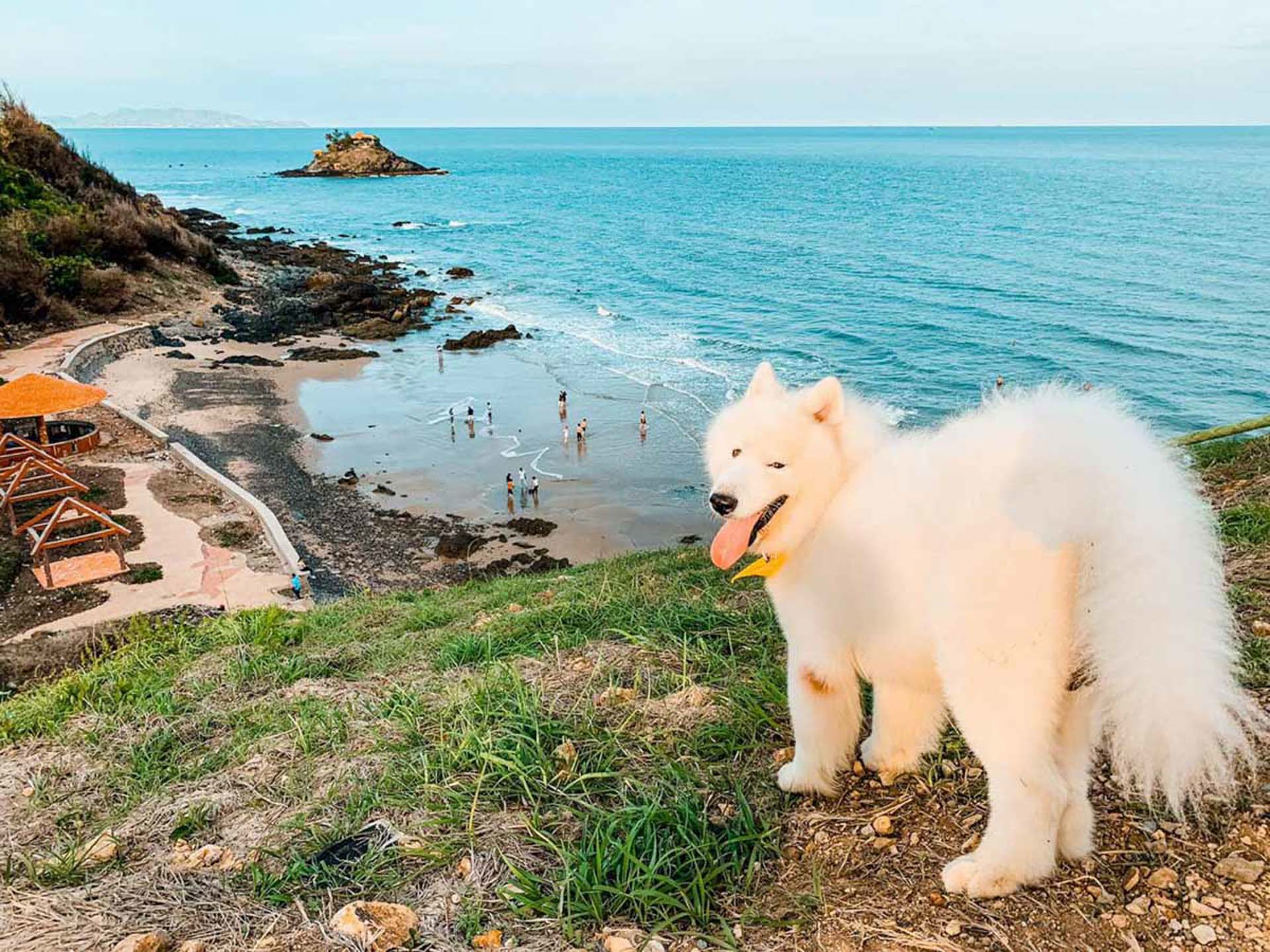 Cẩm nang du lịch Vũng Tàu 152 – cam nang du lich, du lich mien nam, du lich vung tau.