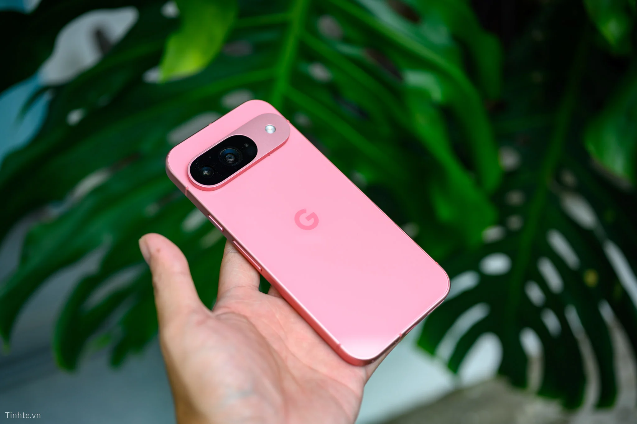 Google Pixel 9 Google Pixel 9 812.