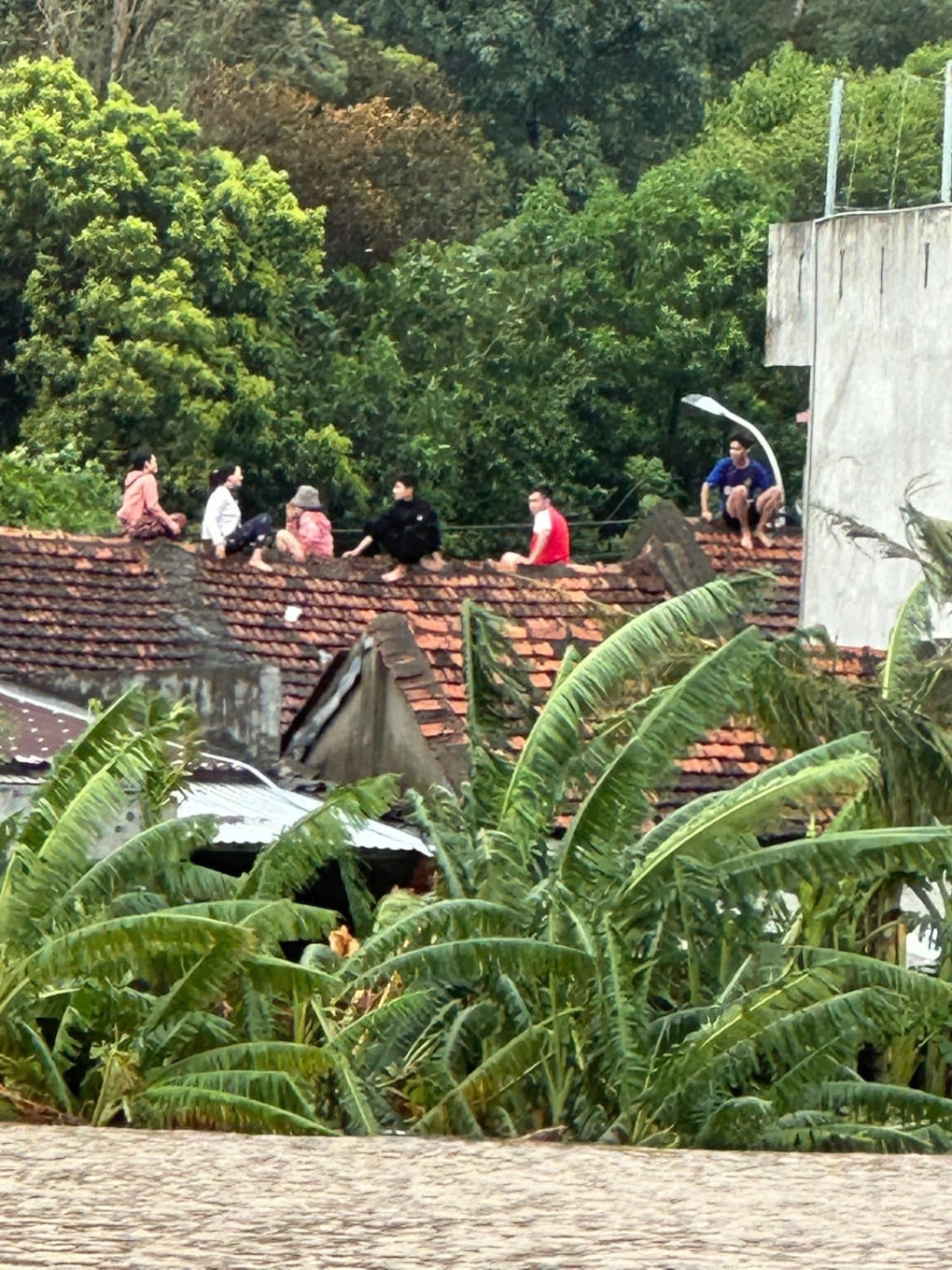 3 giai đoạn cứu trợ sau lũ, hiểu đúng để giúp đủ, không lãng phí 892 – viet lach, thien tai, bao lu, nguoi dan, dan sinh, an sinh xa hoi, y te, suc khoe, suc khoe cong dong, nguoi dan vung lu, ho tro bao lu, cuu tro bao lu.