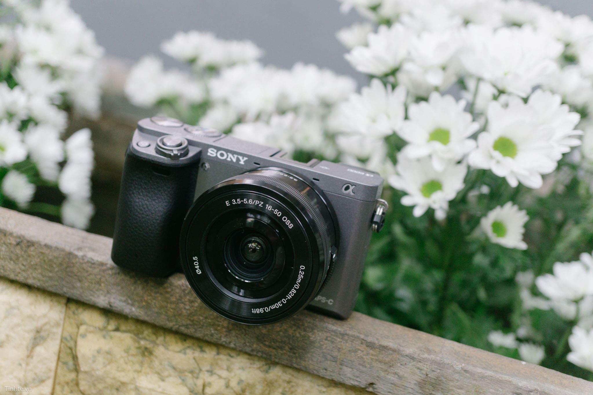 Máy ảnh Sony A6100