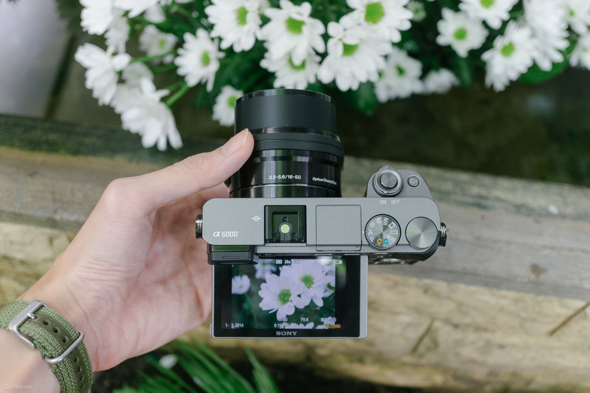 Máy ảnh Sony A6800