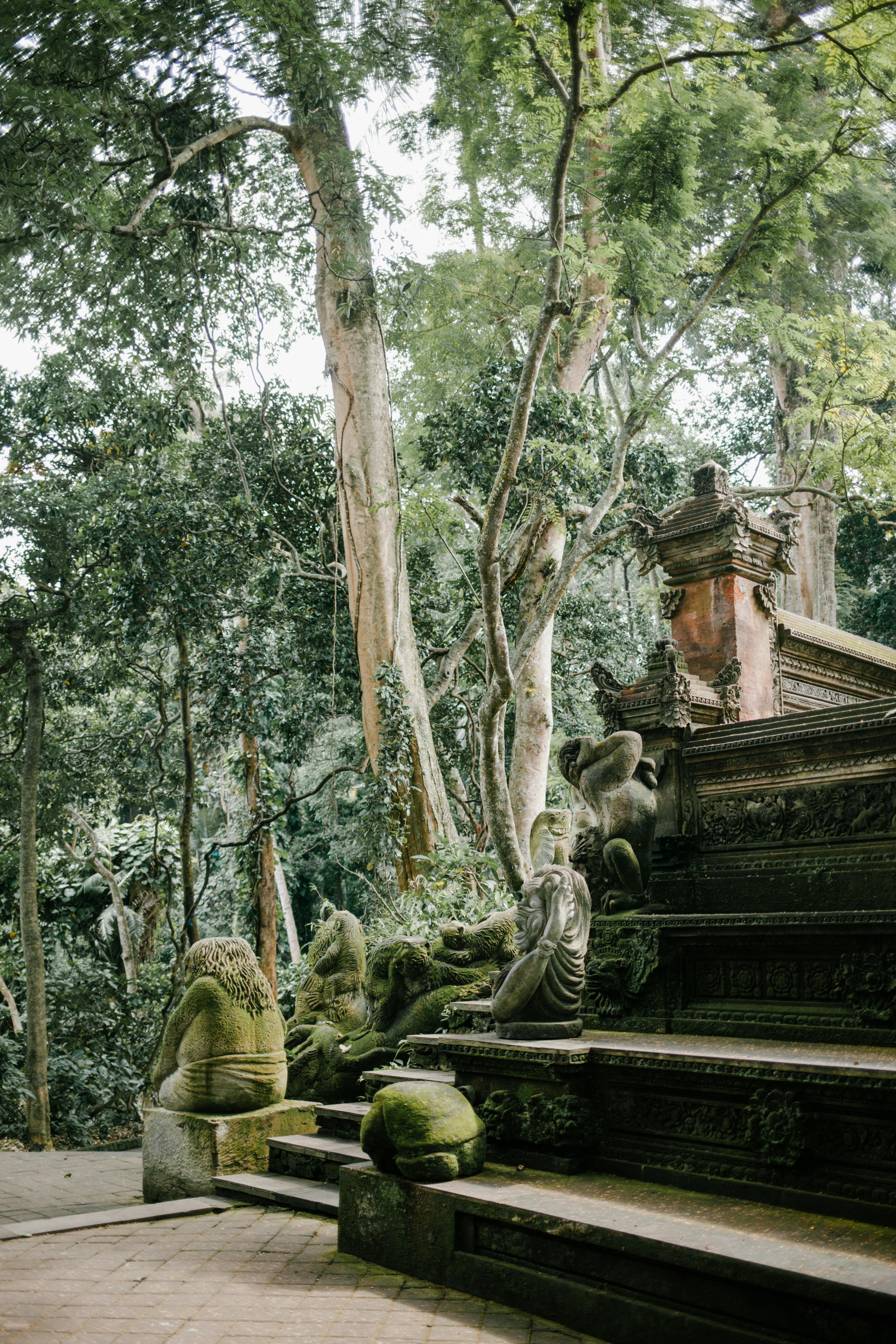 Tứ chánh cần (Sammappadhāna – 四正勤) là gì? 461 – ton giao, phat giao, tu chanh can, ngan ac, diet ac, phat thien, tang thien, thuc hanh ton giao, kien thuc phat giao, kien thuc ton giao.