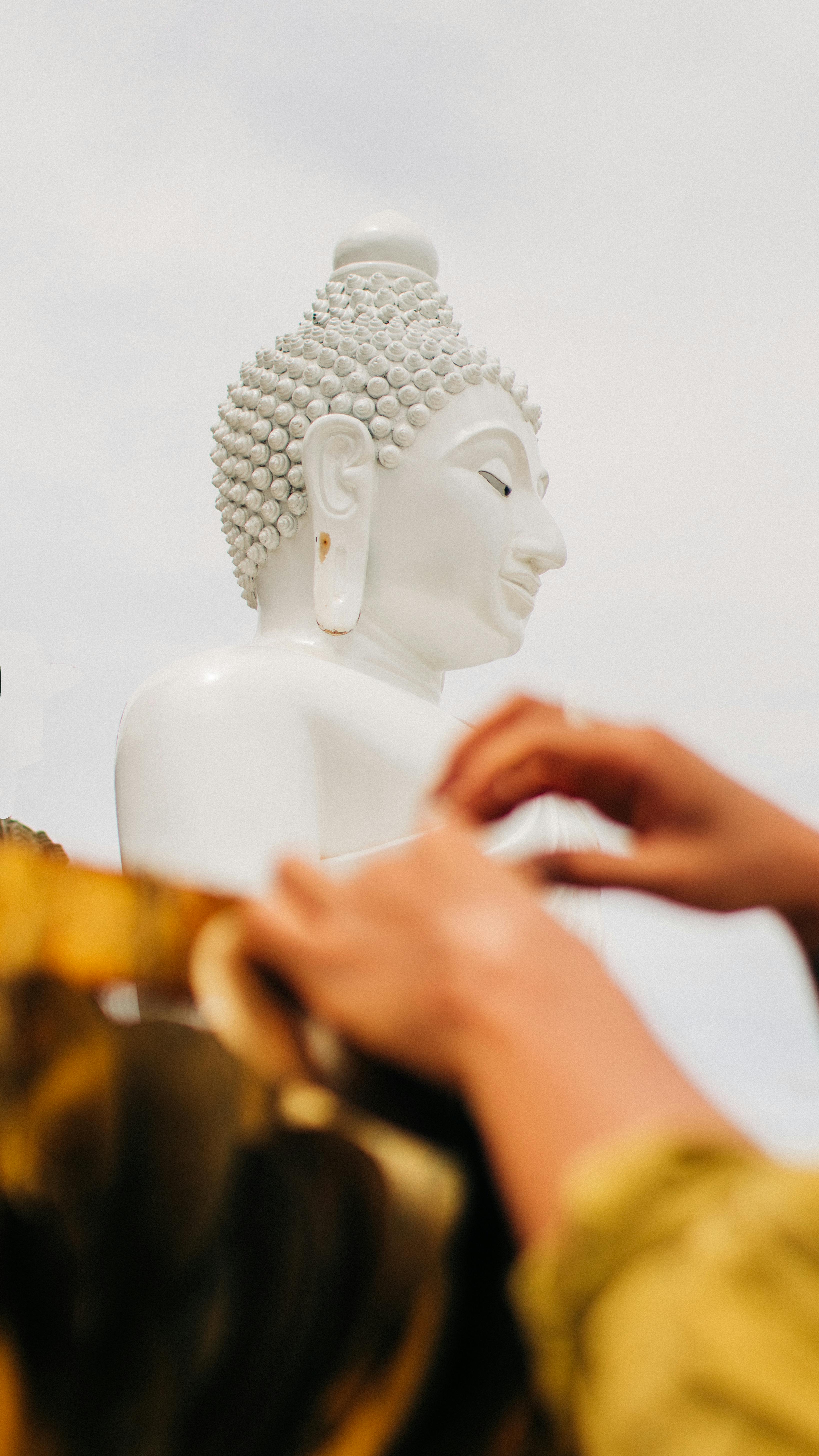 Bát chánh đạo (Noble Eightfold Path – 八正道) là gì? 524 – ton giao, phat giao, tu dieu de, bat chinh dao, chanh kien, chanh tu duy, chanh ngu, chanh nghiep, chanh mang, chanh tin tan, chanh niem, chanh dinh, thuc hanh ton giao, kien thuc phat giao, kien thuc ton giao, bat chanh dao.