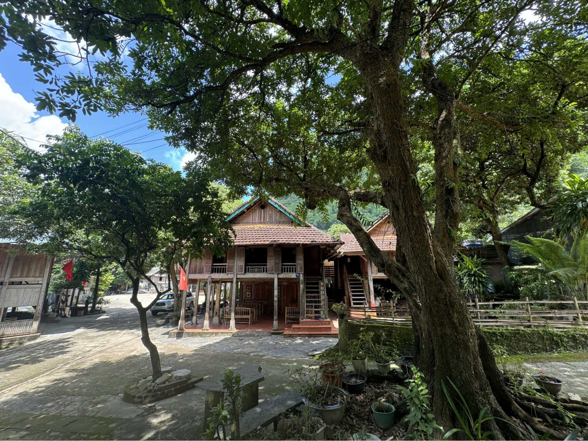 nhavantuonglai