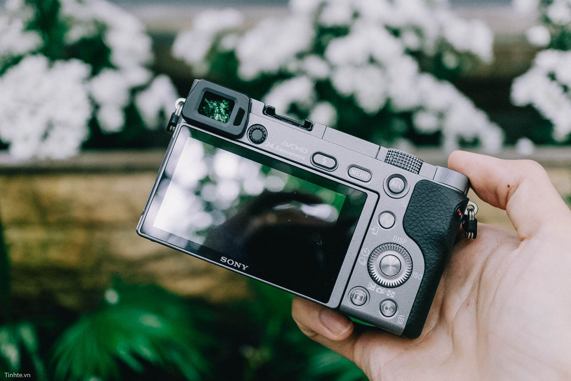 Sony Alpha 6000 215.