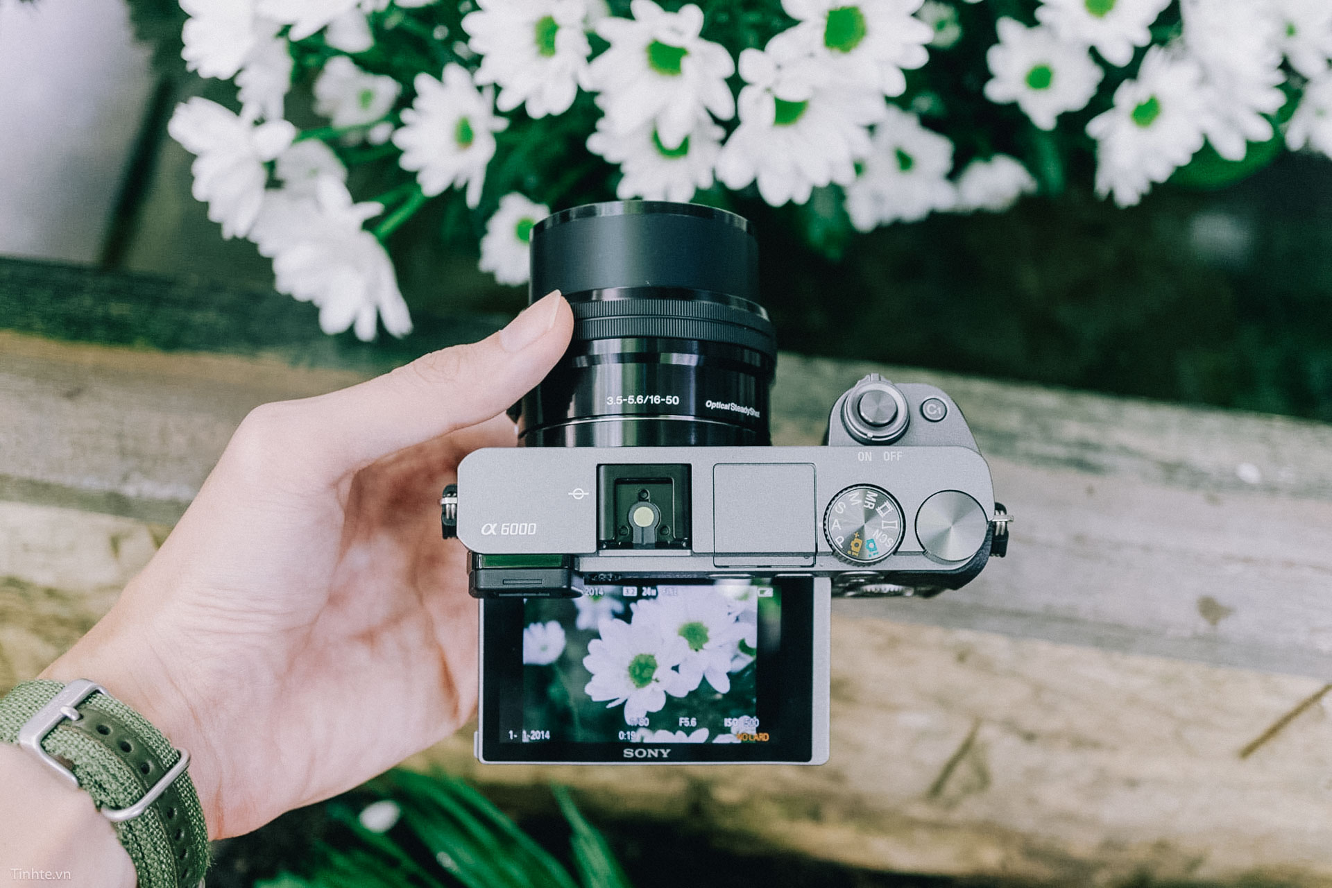 Sony Alpha 6000 663.