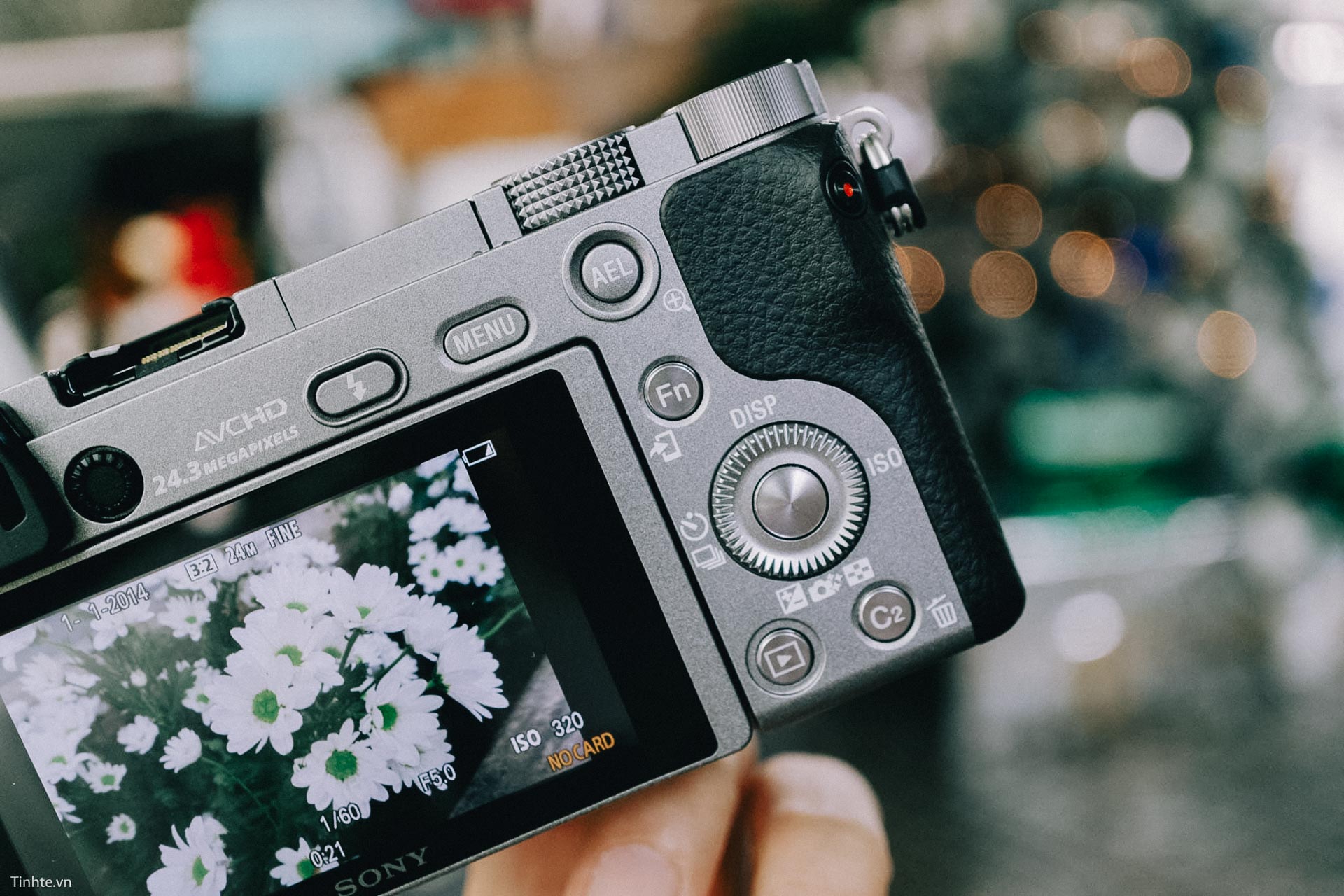 Sony Alpha 6000 481.