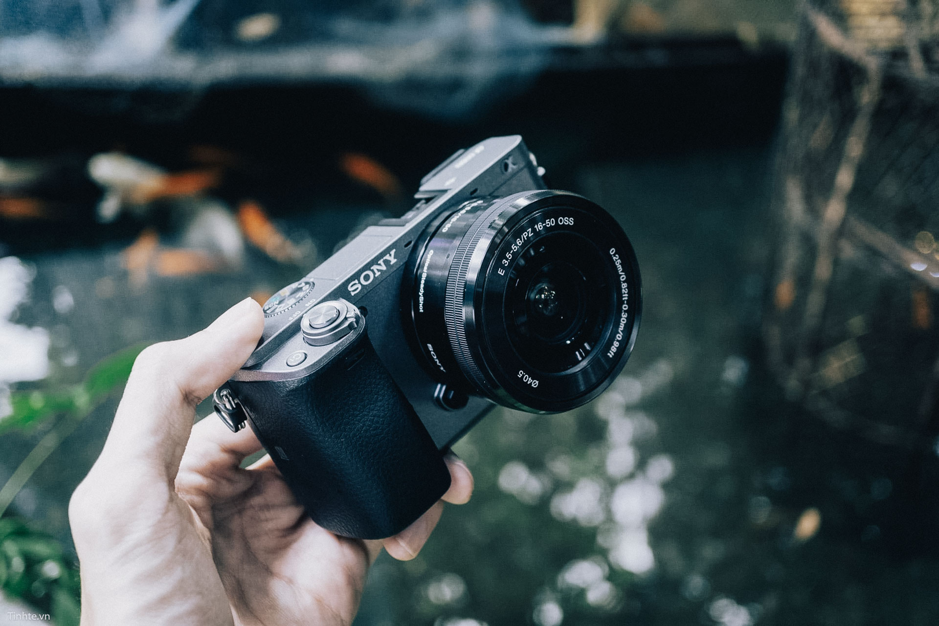 Sony Alpha 6000 181.