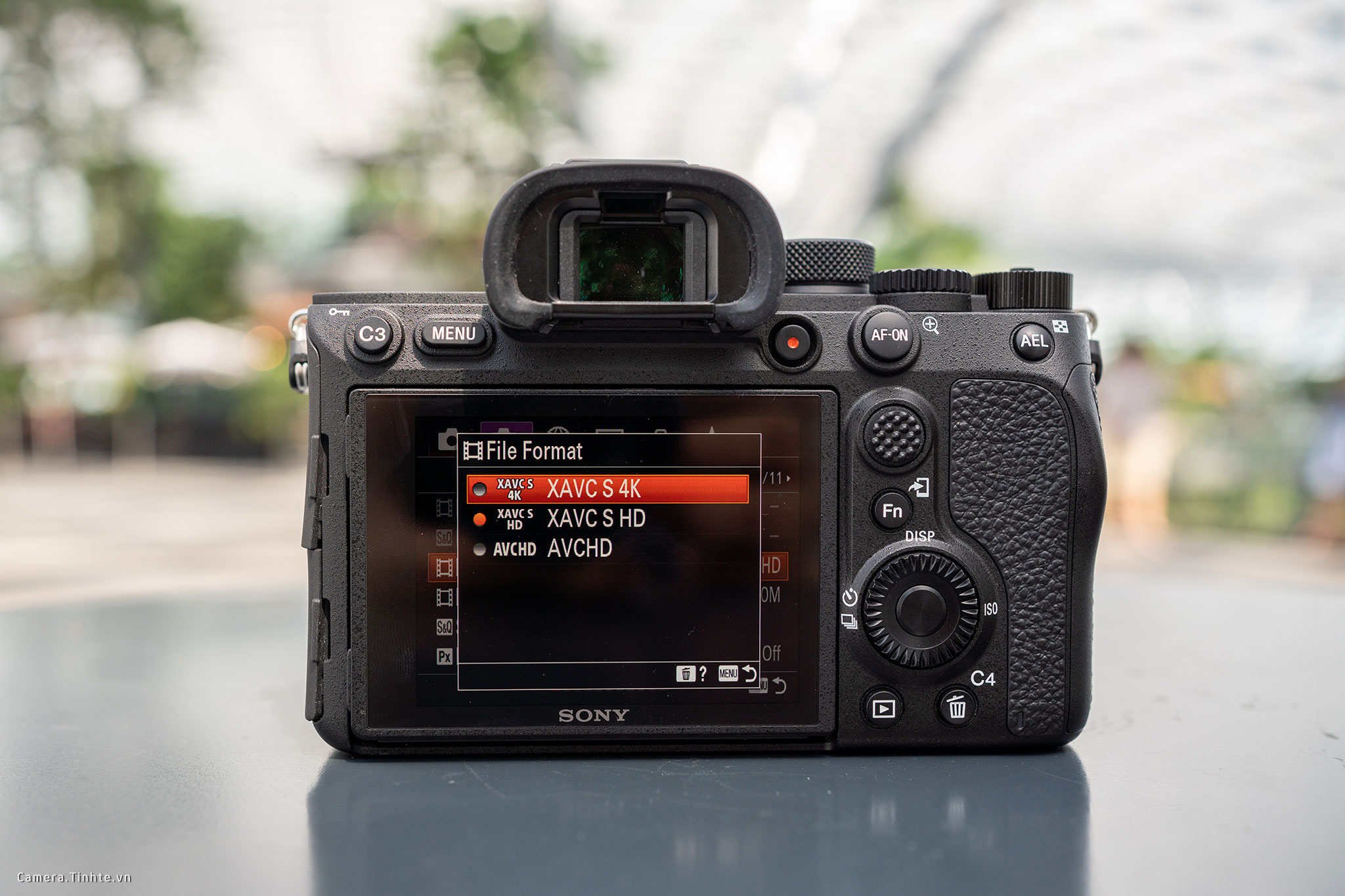 Sony Alpha 7R Mark IV 164.