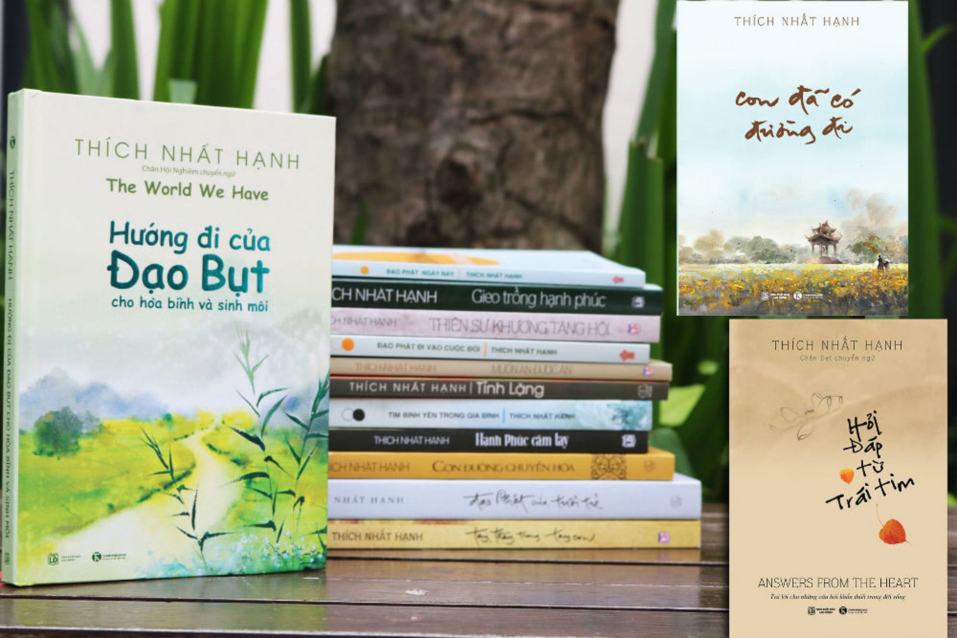 Thầy cô giáo hạnh phúc sẽ thay đổi thế giới | Lời nói đầu 716 – thu vien, van hoc, van hoc viet nam, doan van, ton giao, phat giao, thien van, thuc hanh ton giao, thich nhat hanh, thay co giao hanh phuc se thay doi the gioi.