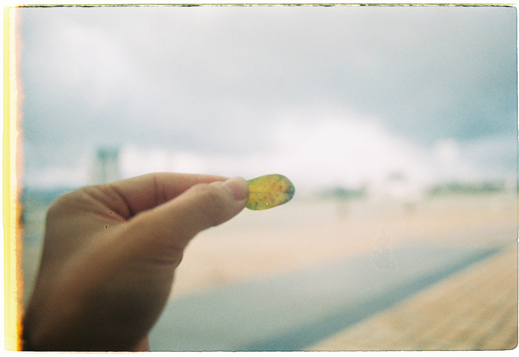 Danh sách theo thẻ bài tam-ly-hoc, trang 5