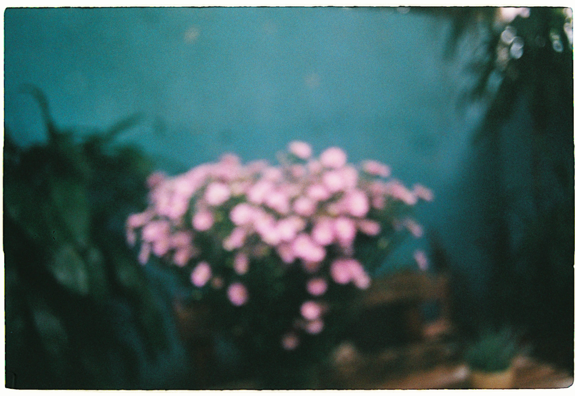 Vật lý lượng tử đằng sau màn trình diễn pháo hoa