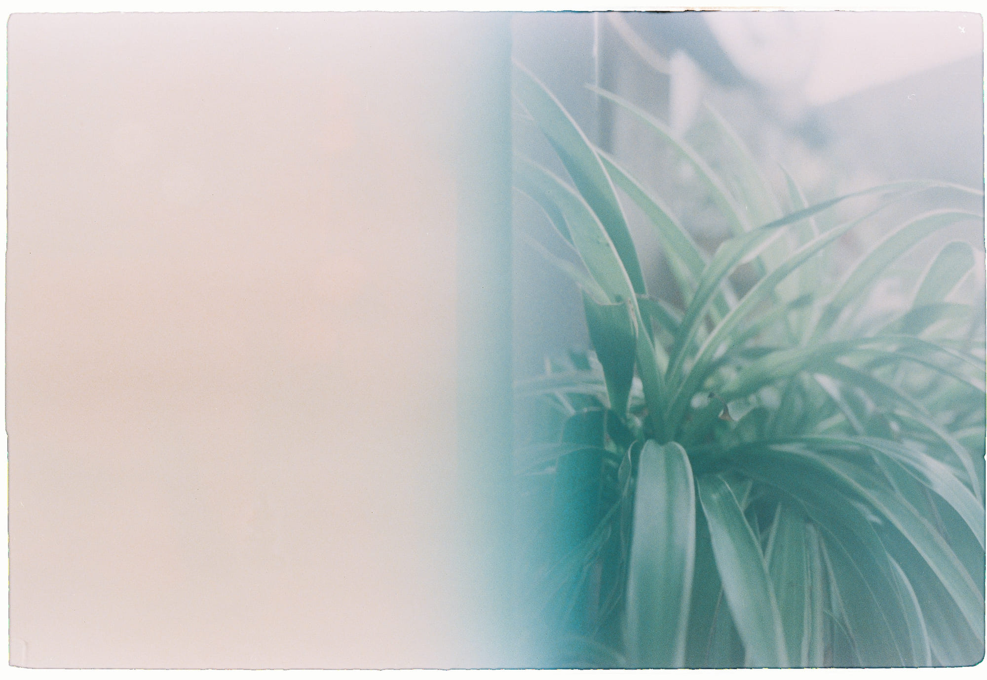 Giữ vững bản thân trong thế giới muốn bạn nhỏ bé hơn 970 – viet lach, tam ly hoc, truong thanh, ban than, giu vung ban than, danh mat chinh minh, giu minh.