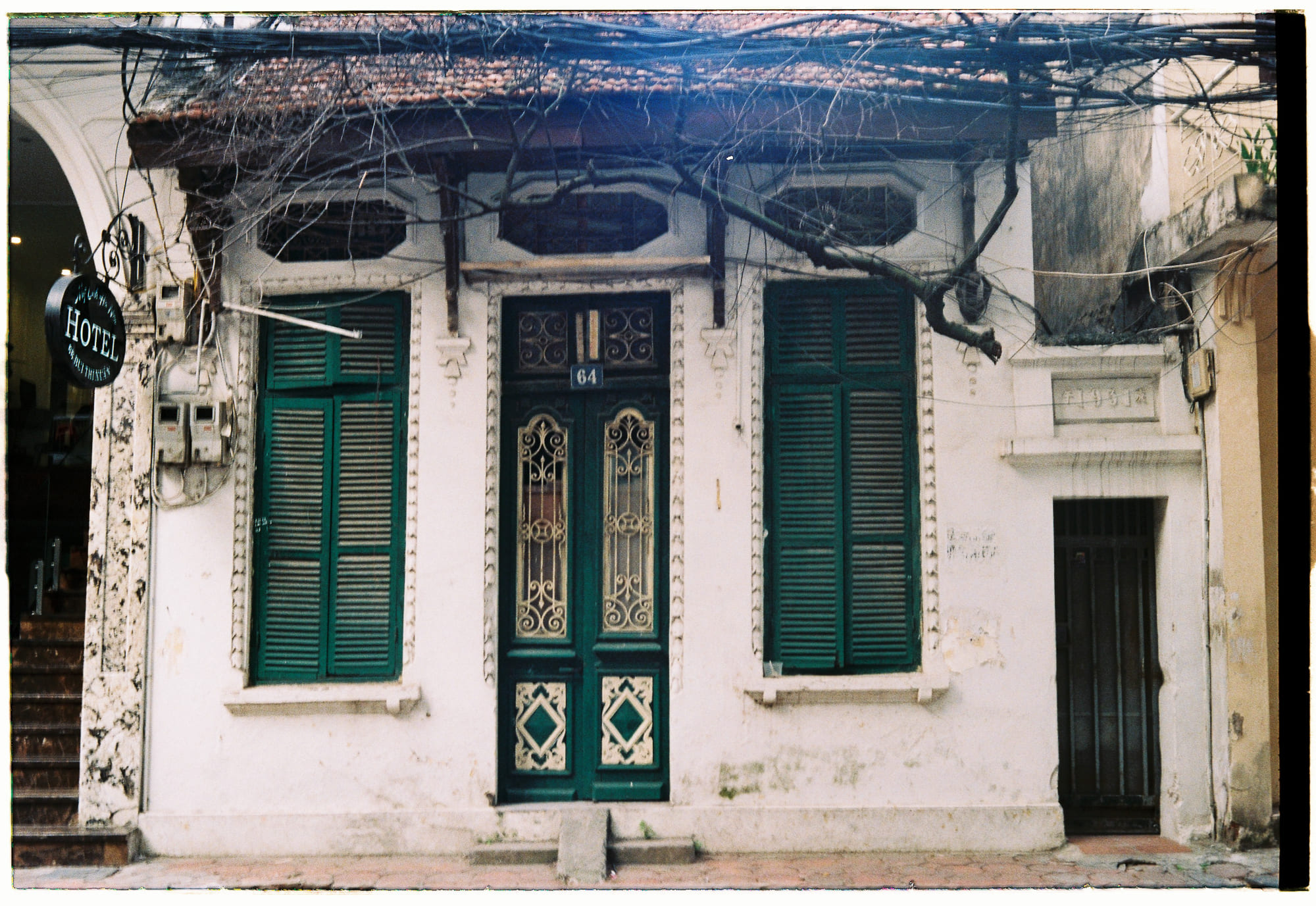 Loài người ít đa dạng di truyền hơn lúa mì