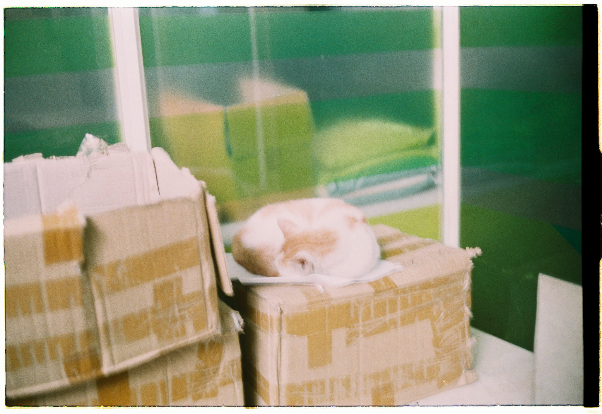 Bát chánh đạo (Noble Eightfold Path – 八正道) là gì? Bát chánh đạo (Noble Eightfold Path – 八正道) là gì? 155 – ton giao, phat giao, tu dieu de, bat chinh dao, chanh kien, chanh tu duy, chanh ngu, chanh nghiep, chanh mang, chanh tin tan, chanh niem, chanh dinh, thuc hanh ton giao, kien thuc phat giao, kien thuc ton giao, bat chanh dao.