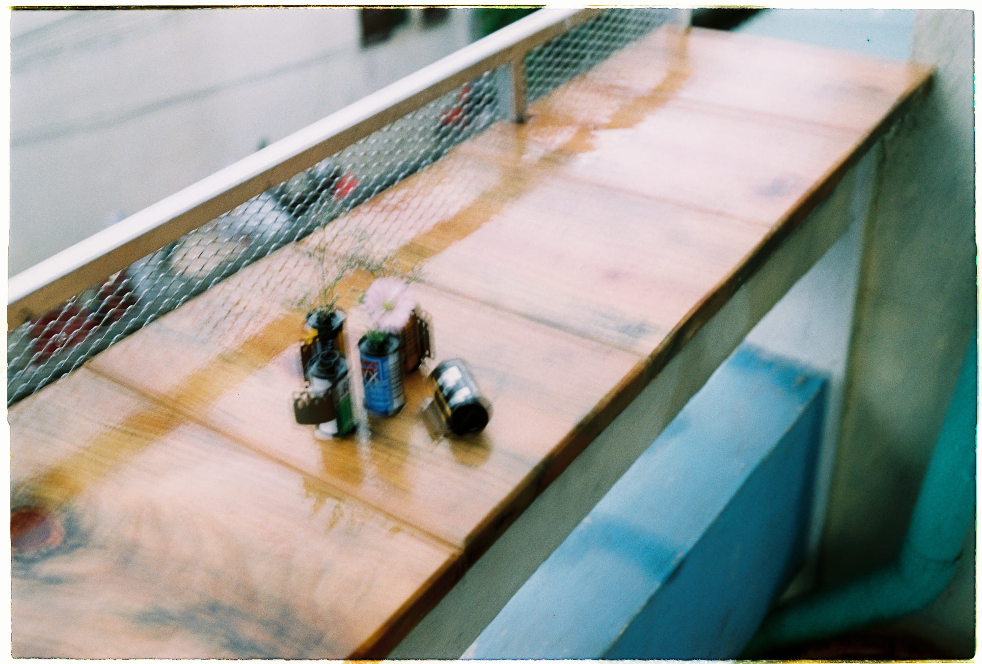 Cá không ngốc, chúng có khả năng đếm